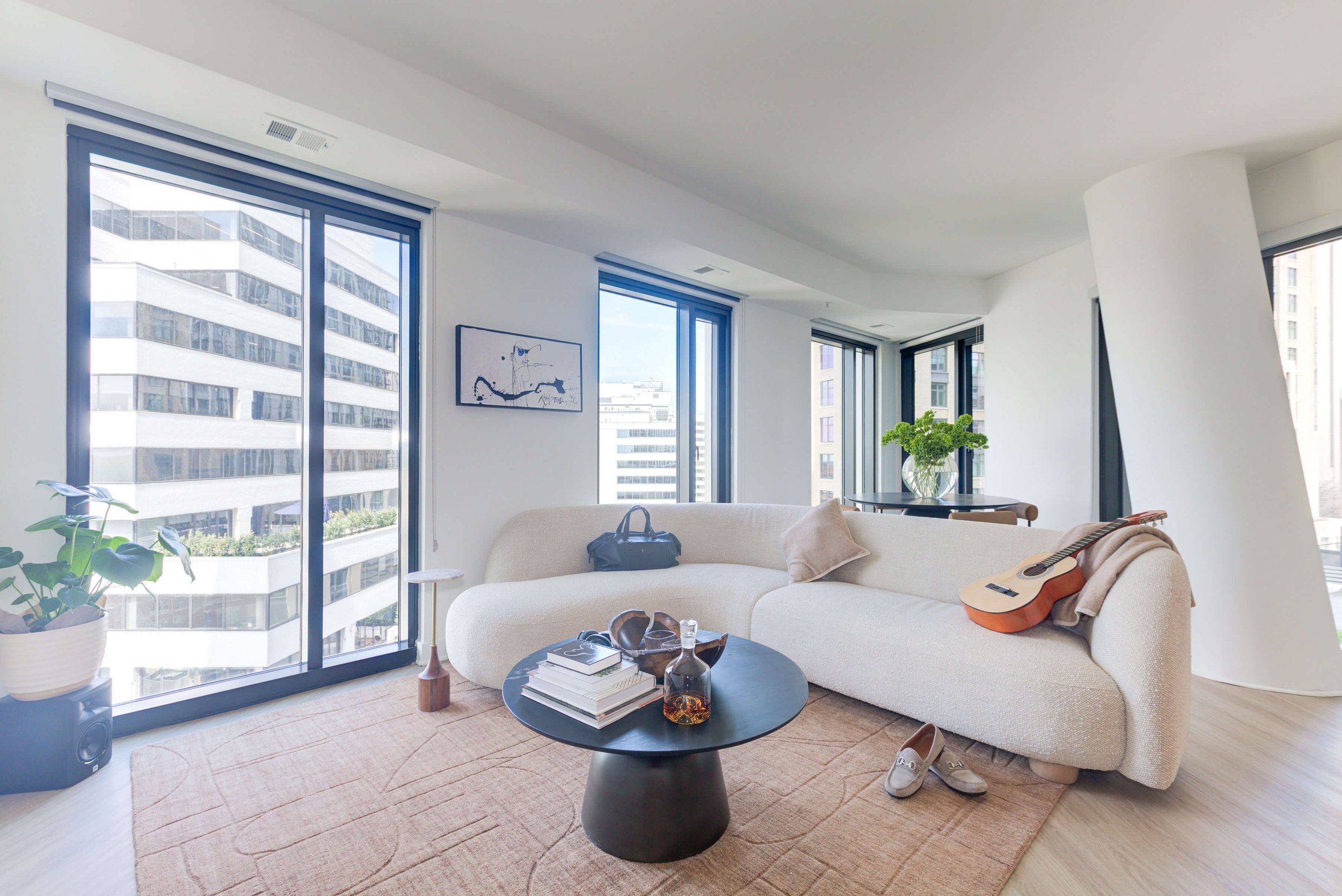 Chelt Interiors Bethesda The Elm Condo Interior Design 7.JPG