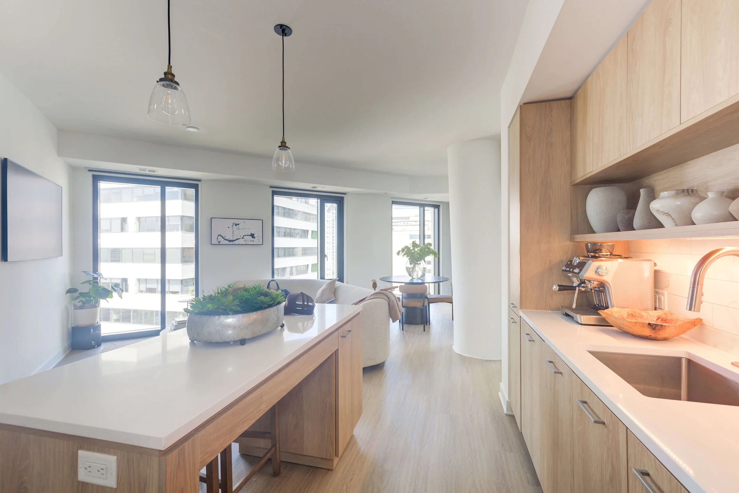 Chelt Interiors Bethesda The Elm Condo Interior Design 3.JPG