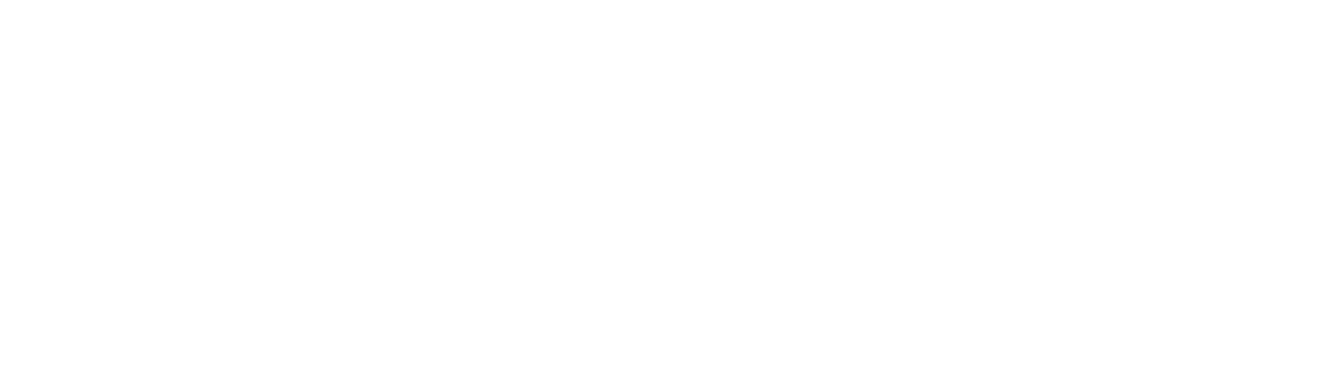 Our wines are the expression of the nature that surrounds us and the values that guide us.