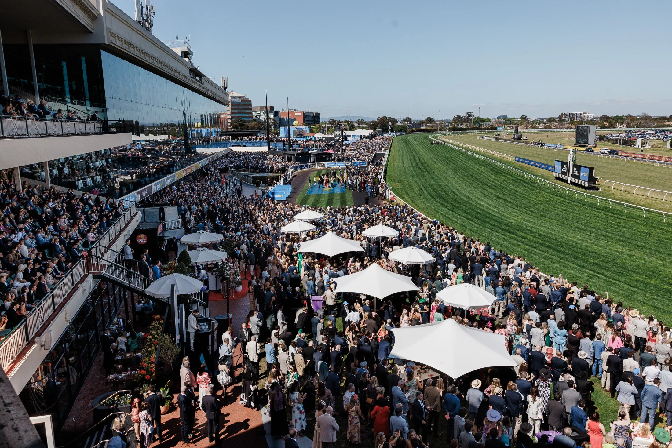 202510-CaulfieldCup-1-347.jpg