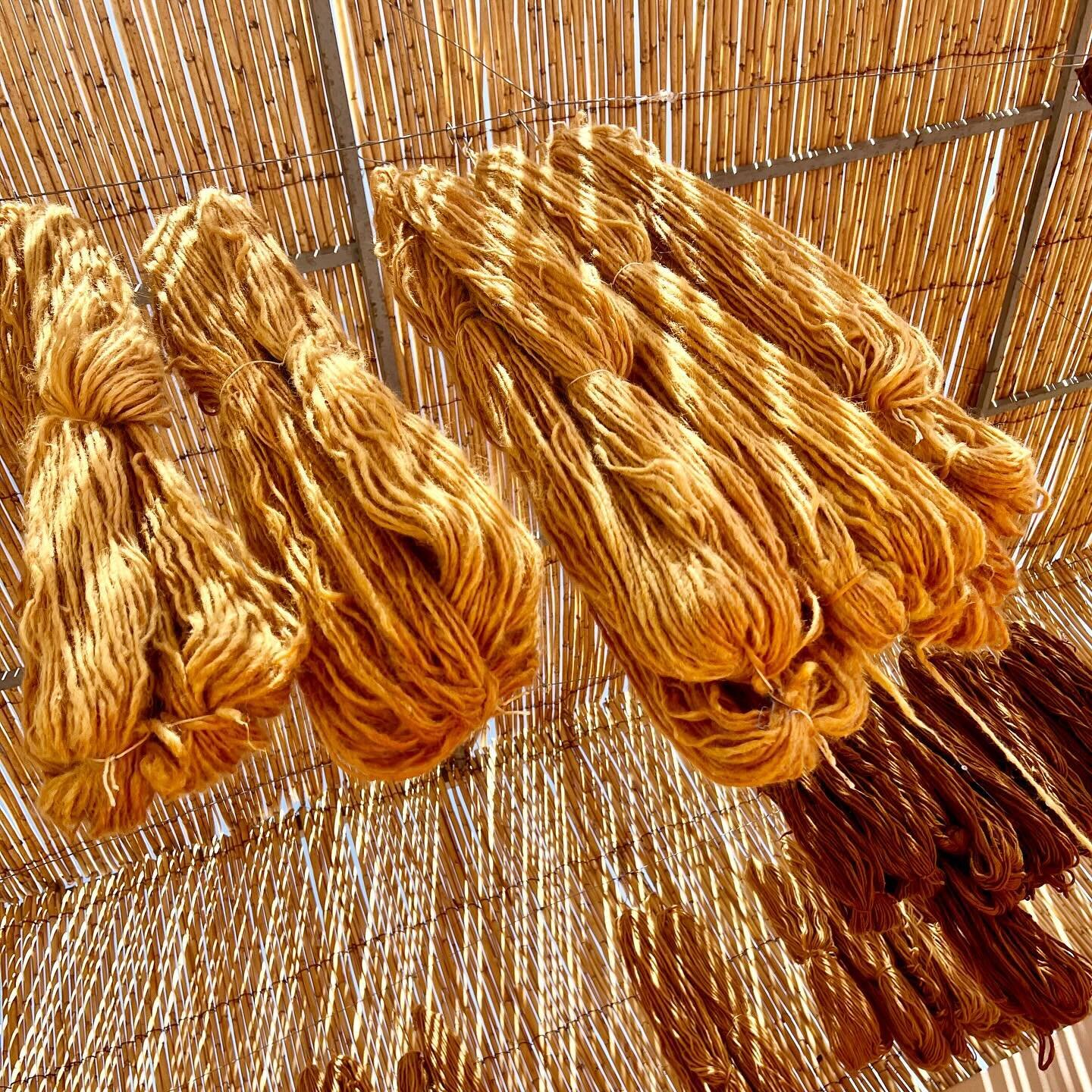 Talasin&rsquo;s color palette of over 50 shades emerges from our own dyeing studio with the use of Henna as its main ingredient.
After dyeing, our woolen skeins are hanged and air dried overnight before been brought to our weaving studios. 
.
.
.
#ta