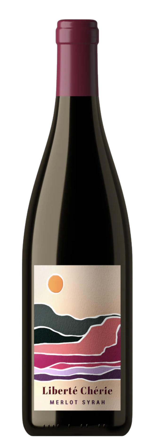 Screen Shot 2023-07-27 at 9.58.15 AM.png