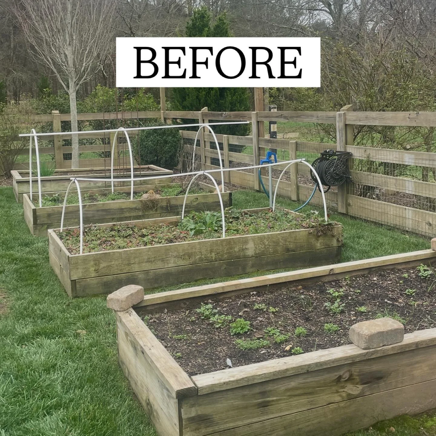 At Planted Garden Co., we love helping clients create kitchen gardens that are both beautiful and productive. Sometimes that means refreshing existing garden spaces with fresh ideas and seasonal touches to elevate their potential. We&rsquo;ve had the