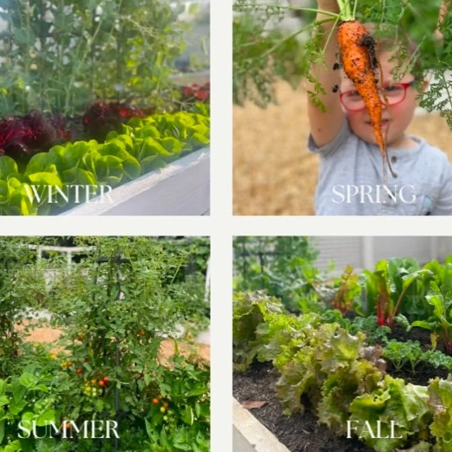 Year-round in the Atlanta garden.🌱 No two winters are alike. No two springs are alike. No two summers are alike. No two falls are alike.

And that&rsquo;s what makes gardening so magical - every season brings new growth, new lessons, and new possibi