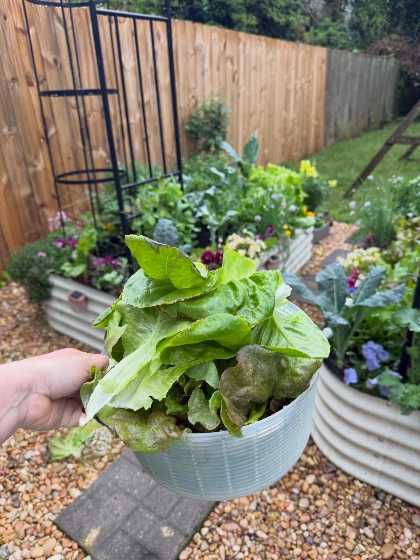 Easter is one of my favorite days to celebrate with the garden. ✝️ It is by no mistake that many plants are bursting with life and color about this time each year. I love to put together a big beautiful salad or a seasonal veggie board to go along wi