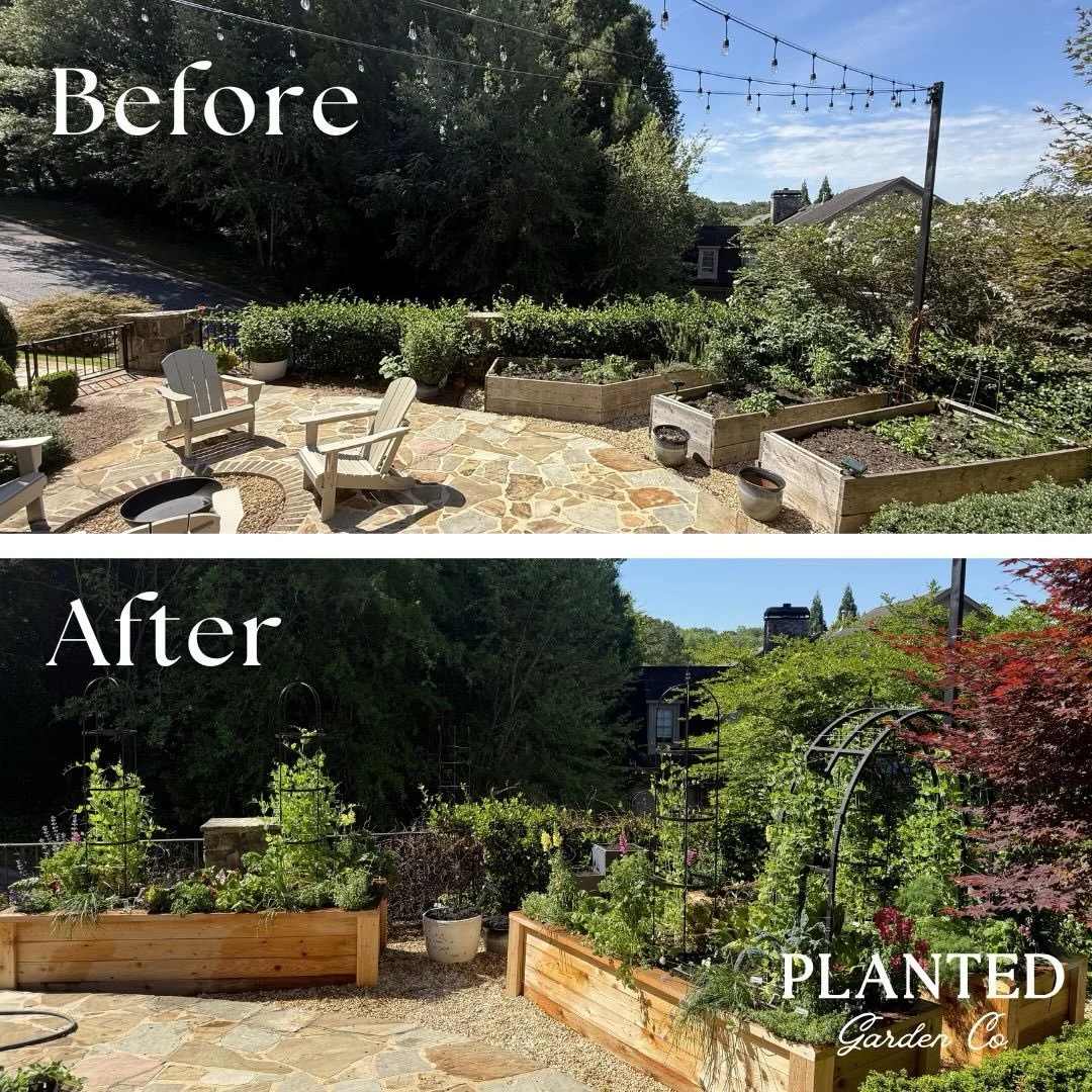 A fresh garden for a fresh season! 🌱☀️

It was such an honor to rethink this garden space with this amazing family. They inherited their garden with their new home and were ready to make it feel like their own.

Because the garden sits at the front 