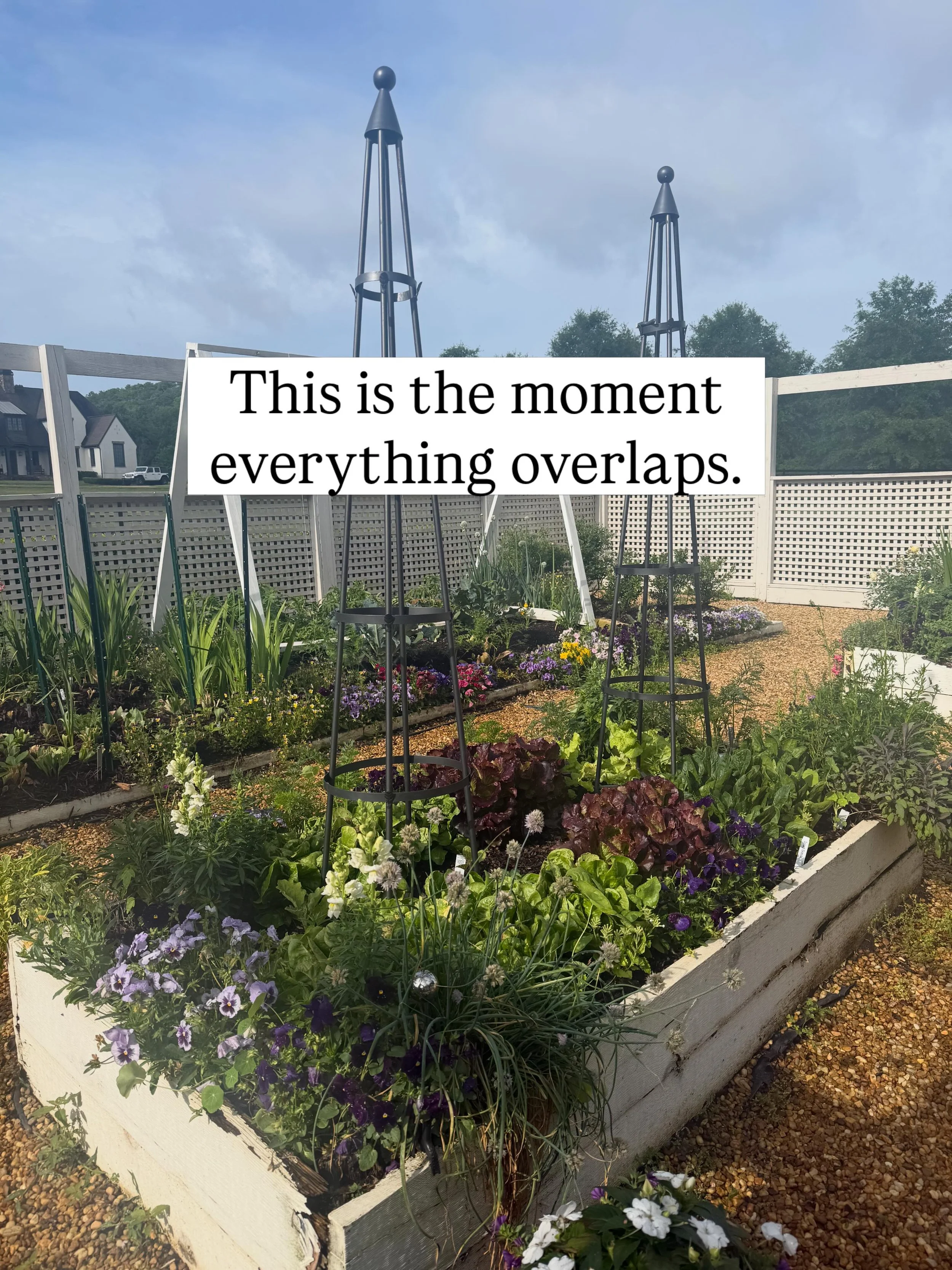 Right now, gardens across Atlanta are in one of the most beautiful transitions of the year.

Cool season crops are still overflowing while summer gardens begin to settle in.

For a few short weeks, everything shares the space together before the seas