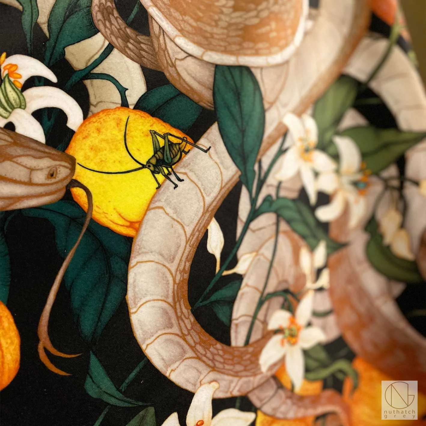 Sicilian Snake in Jet Black Velvet Fabric