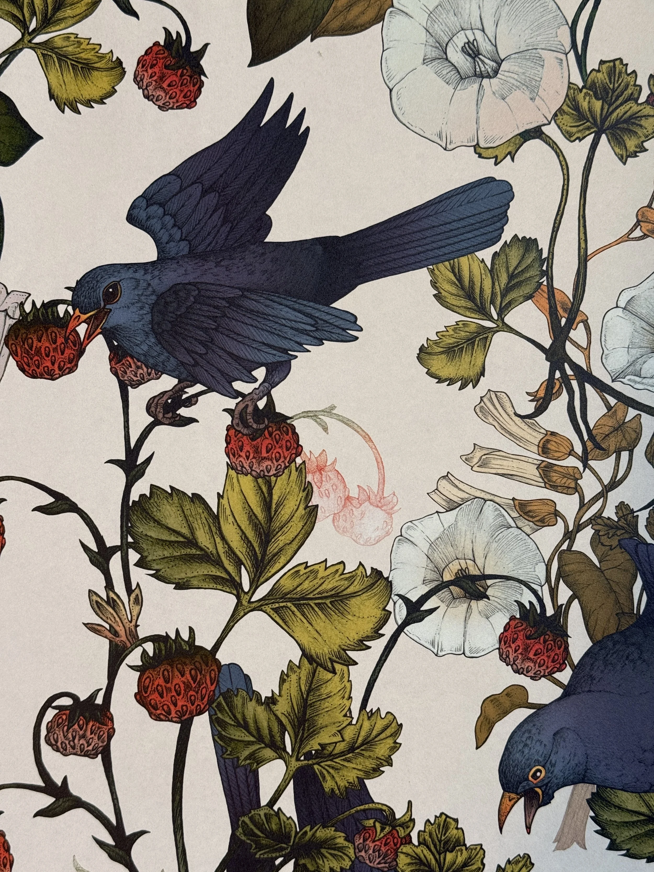 NG_A BLACKBIRDS BREAKFAST_WALLPAPER 2.jpg