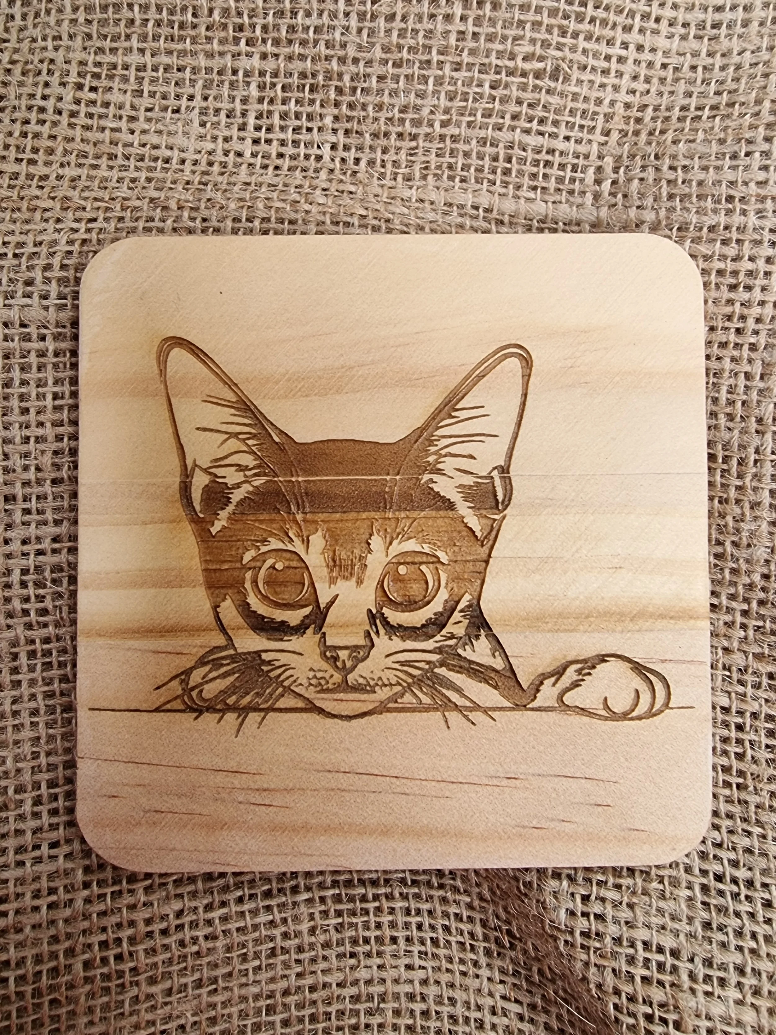 Here kitty kitty