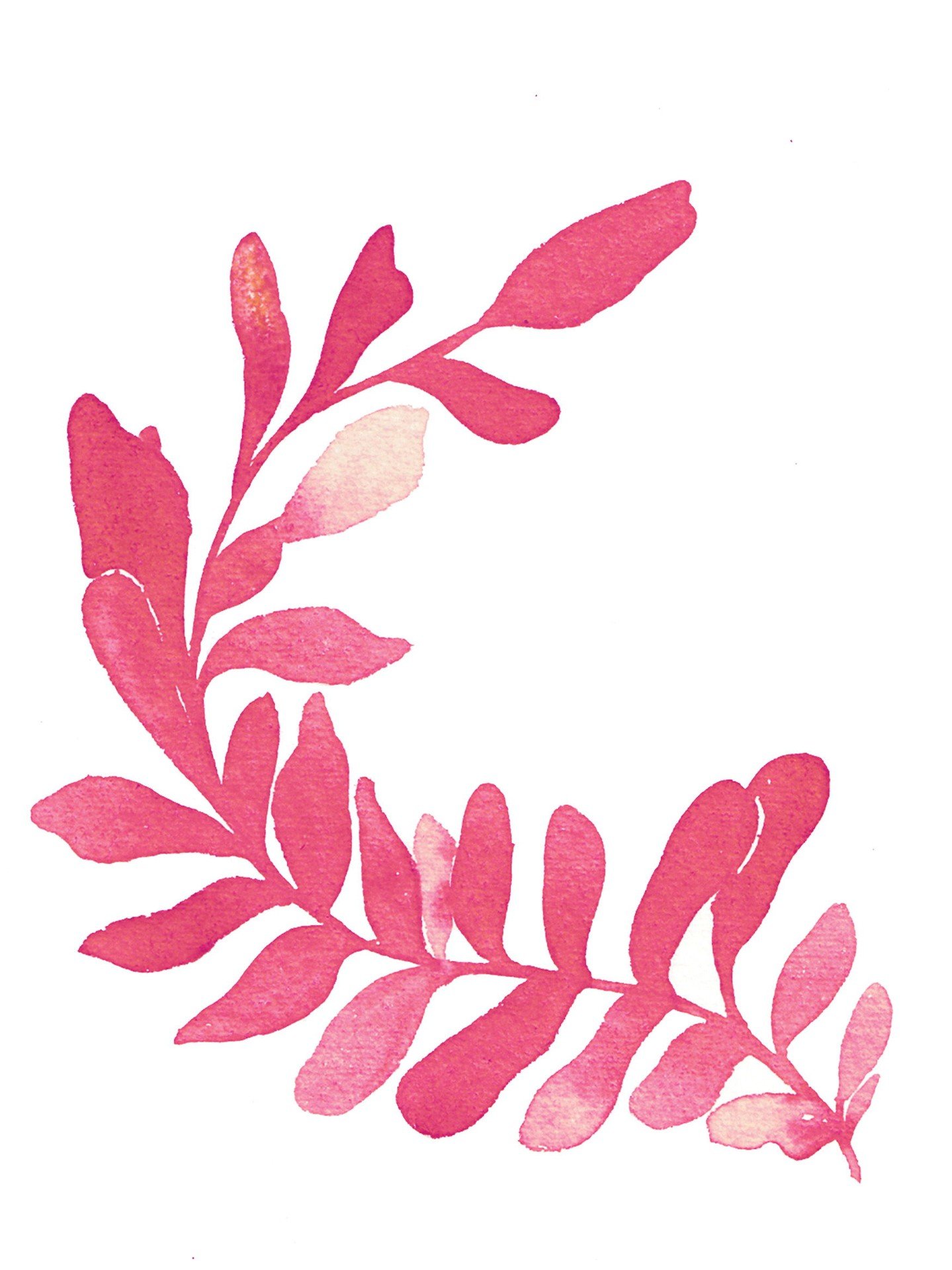 I think everyone should experience kelp in the wild. Swipe right ⟶

There&rsquo;s something about the way it moves together in the current.
There&rsquo;s no rush &mdash; just a rhythmic Mexican wave. 

This A5 playful illustration of kelp has been re