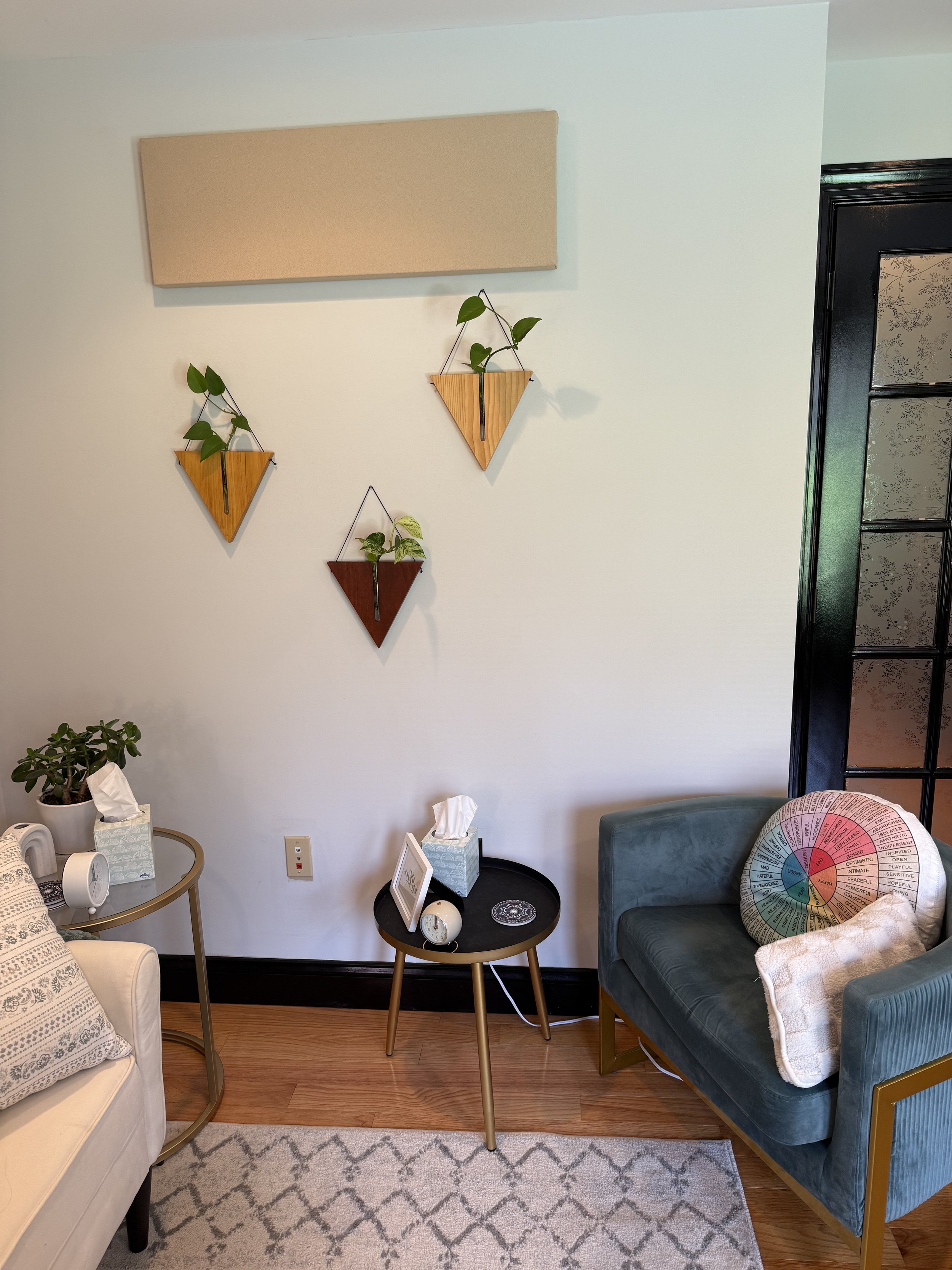 Living room corner with a beige couch, teal armchair, and small black and gold side tables. Wall decor includes three small wooden planters with green plants and a blank beige canvas. On the teal armchair is a colorful round pillow with an emotional wellness wheel and a white blanket. There's a potted plant on the beige couch and tissue boxes on the side tables. Wood flooring and a gray patterned rug are visible.