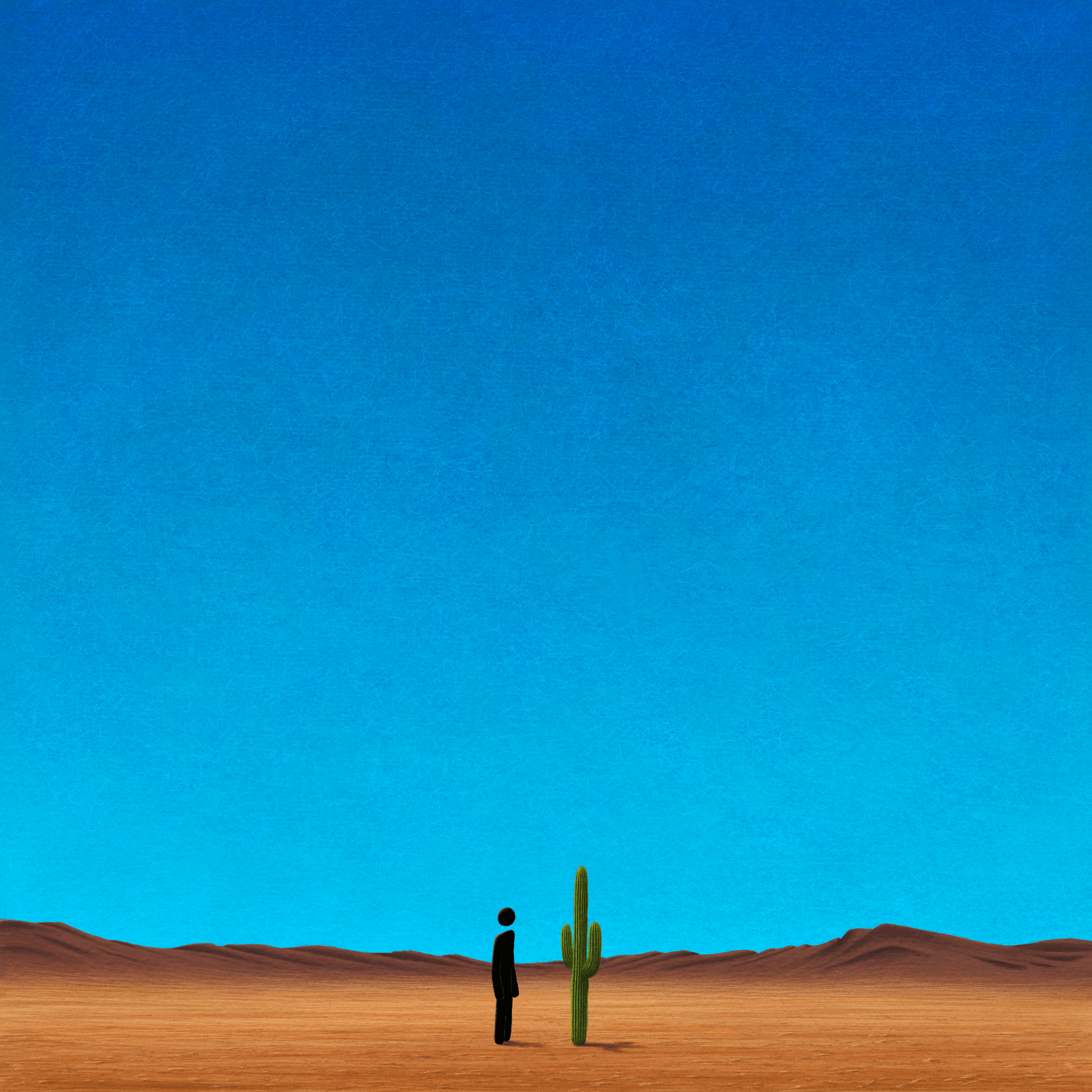 Perspective (2026)