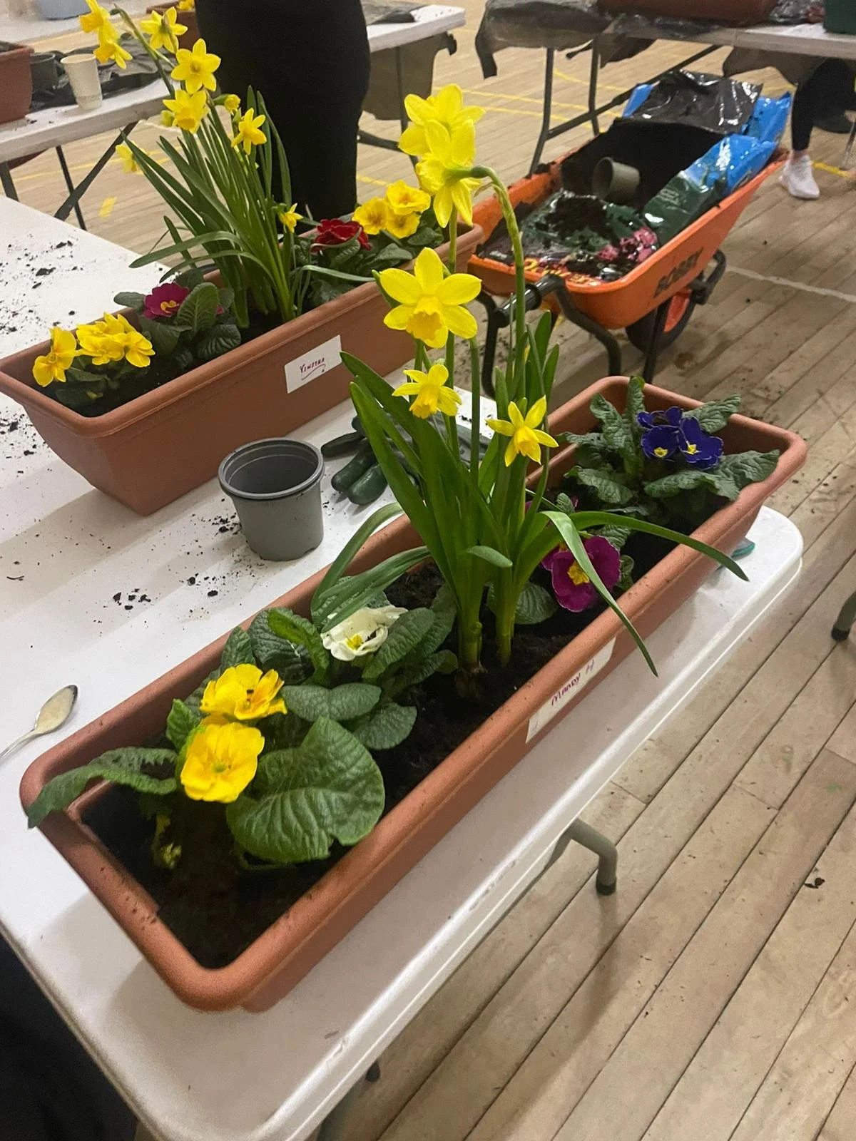 St. Brigid brings the Spring