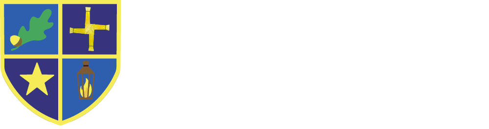 St Brigid&#39;s Primary School