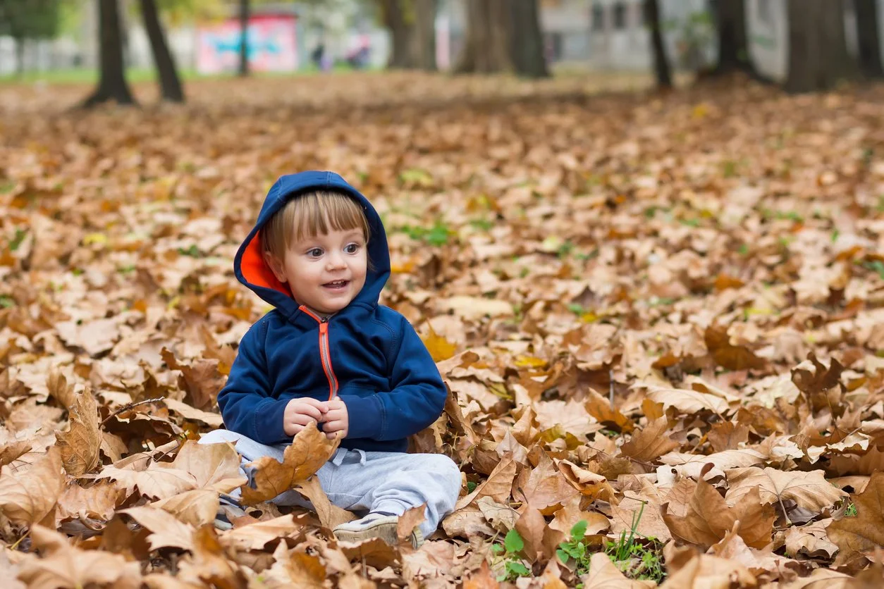Smiling little boy  sat in autumn leaves