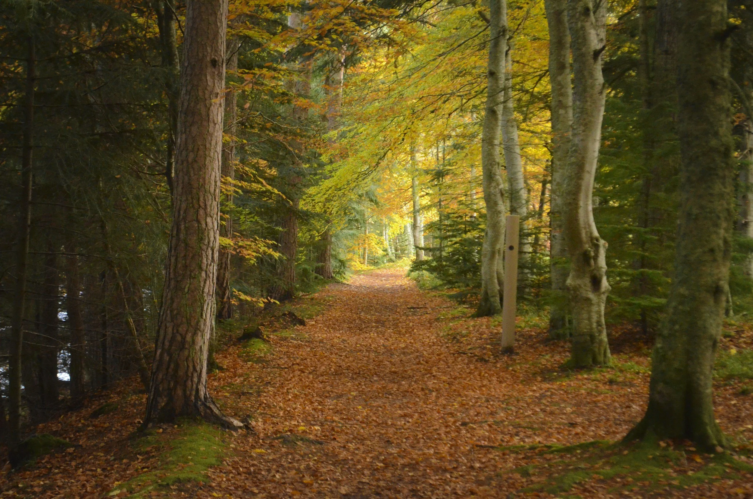 Is Autumn a Good Time to Visit Scotland?