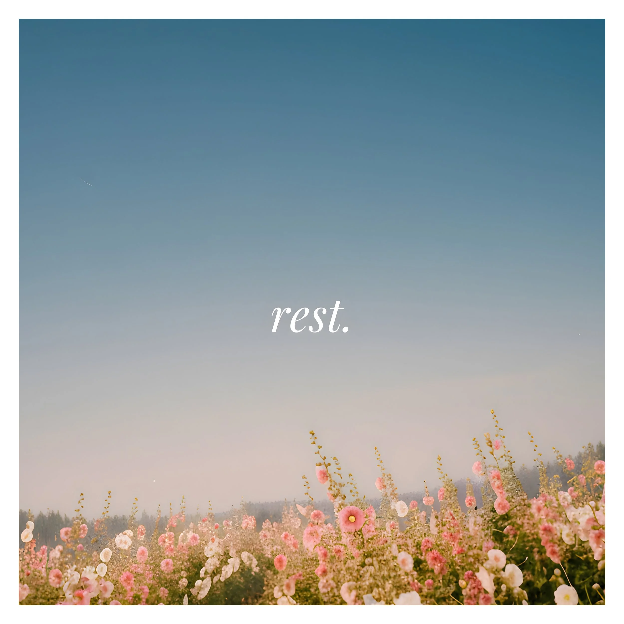 rest. volume 5 album artwork by Lewis Bolland - calming felt piano music for summer 2026. Pink flowers in full bloom against a bright blue sky, reflecting the warmth, romance, and beauty of the summer season.
