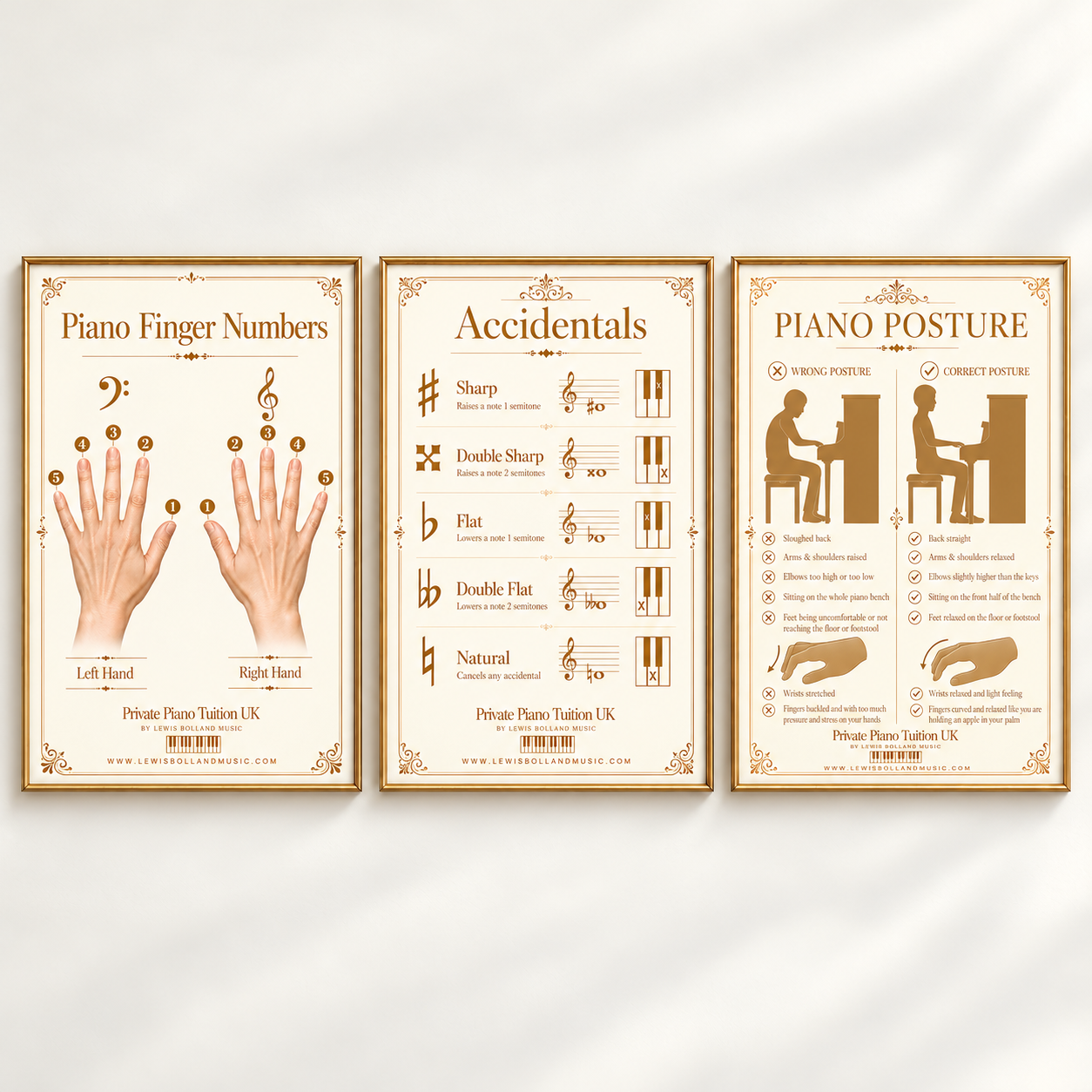 Beginner-Foundations-03-Finger-Numbers-Accidentals-Posture.png