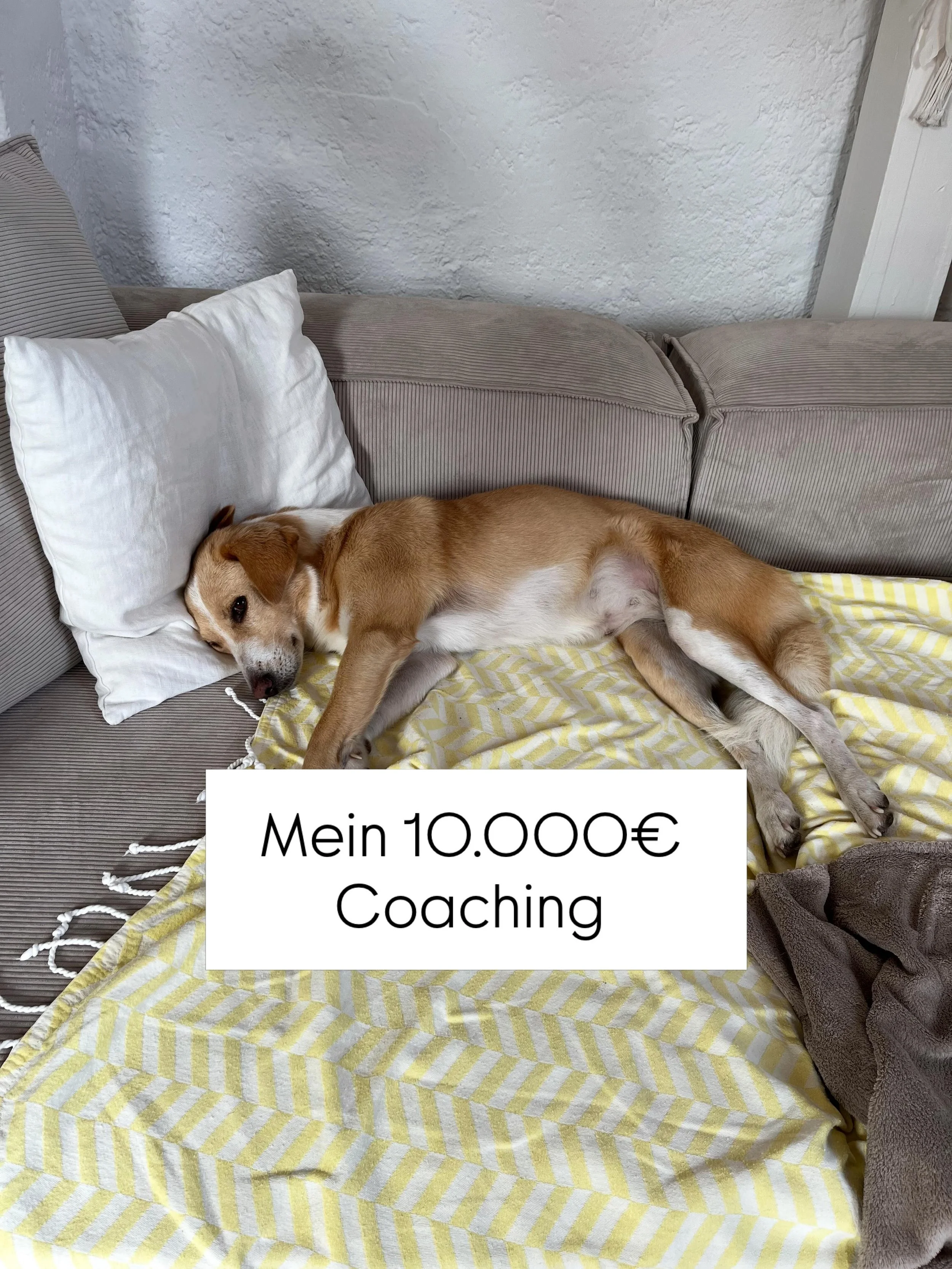 Mein 10.000&euro; Coaching ✨

Ende Januar stand meine Welt kurz still.
Es begann mein &bdquo;ungebuchtes&ldquo; Lebenscoaching mit dem ich so nicht gerechnet hatte.

1. Im Oktober bemerkte ich, dass es Malea nicht gut ging und sie ganz untypisch in d