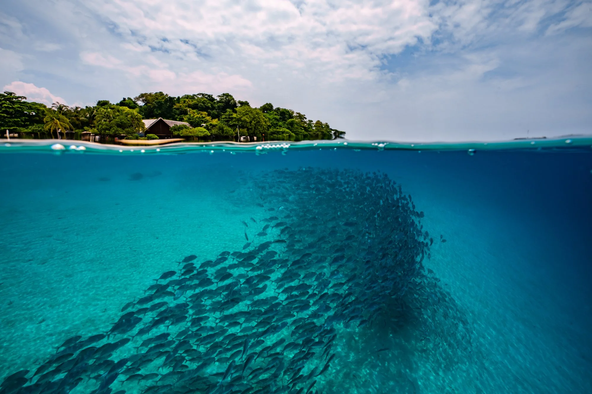 Coron-6.jpg