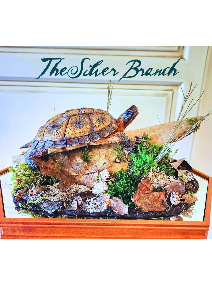 Wood Turtle
