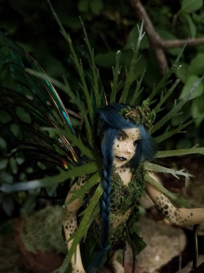 Thicket of the Wildwood