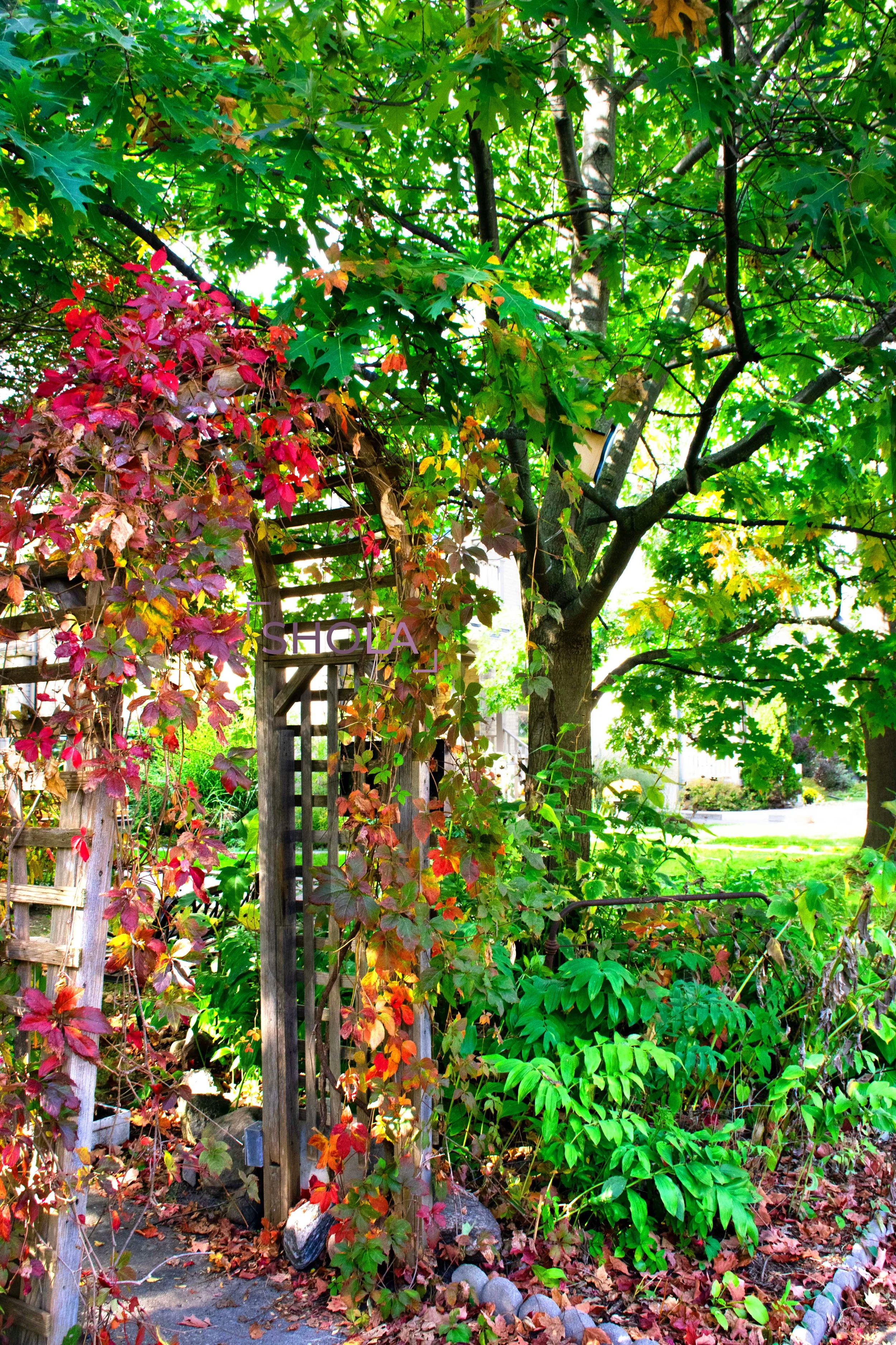 _KWfallDSC4070.jpg