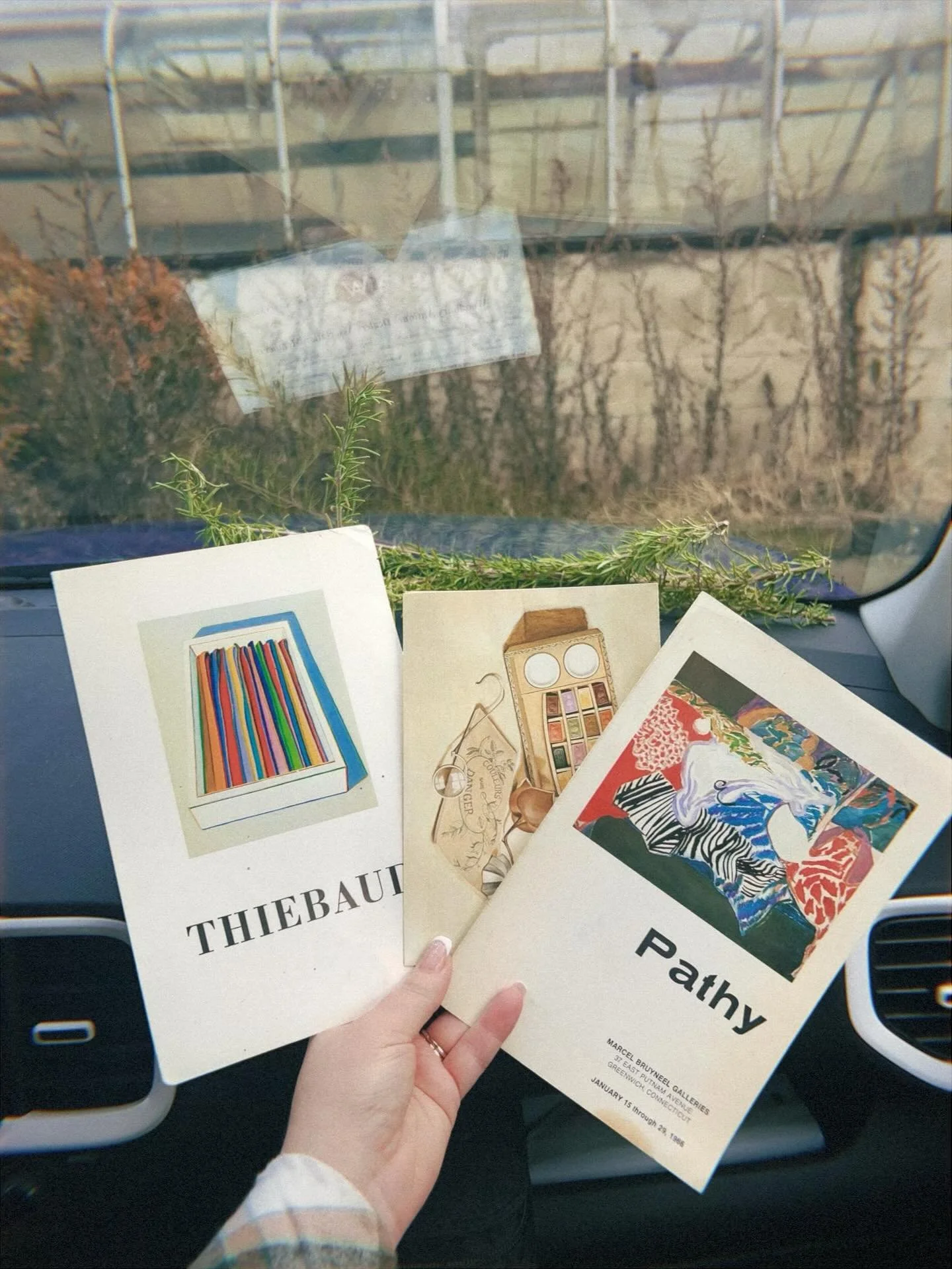 Dec/Jan dump 🪩✨🎨🌻❄️
3+ businesses, 2 dogs, snowstorms, antique shops, frands and a whole lotta art and DIY