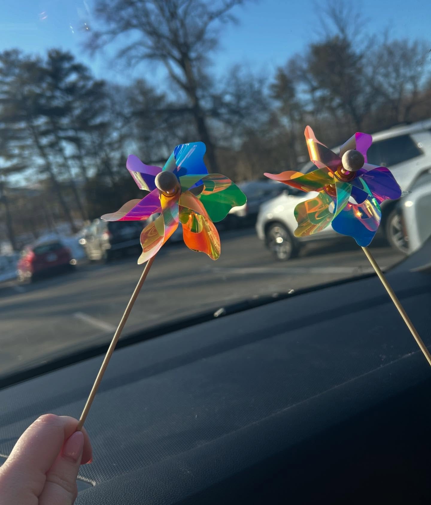 February 🩶 finding joy in small things and waiting impatiently for spring 🌈🌱🌞

This winter season has been ROUGH. A lot of unexpected bumps in the road, lot of changing in my field, my personal life and the world itself. I don&rsquo;t do well wit