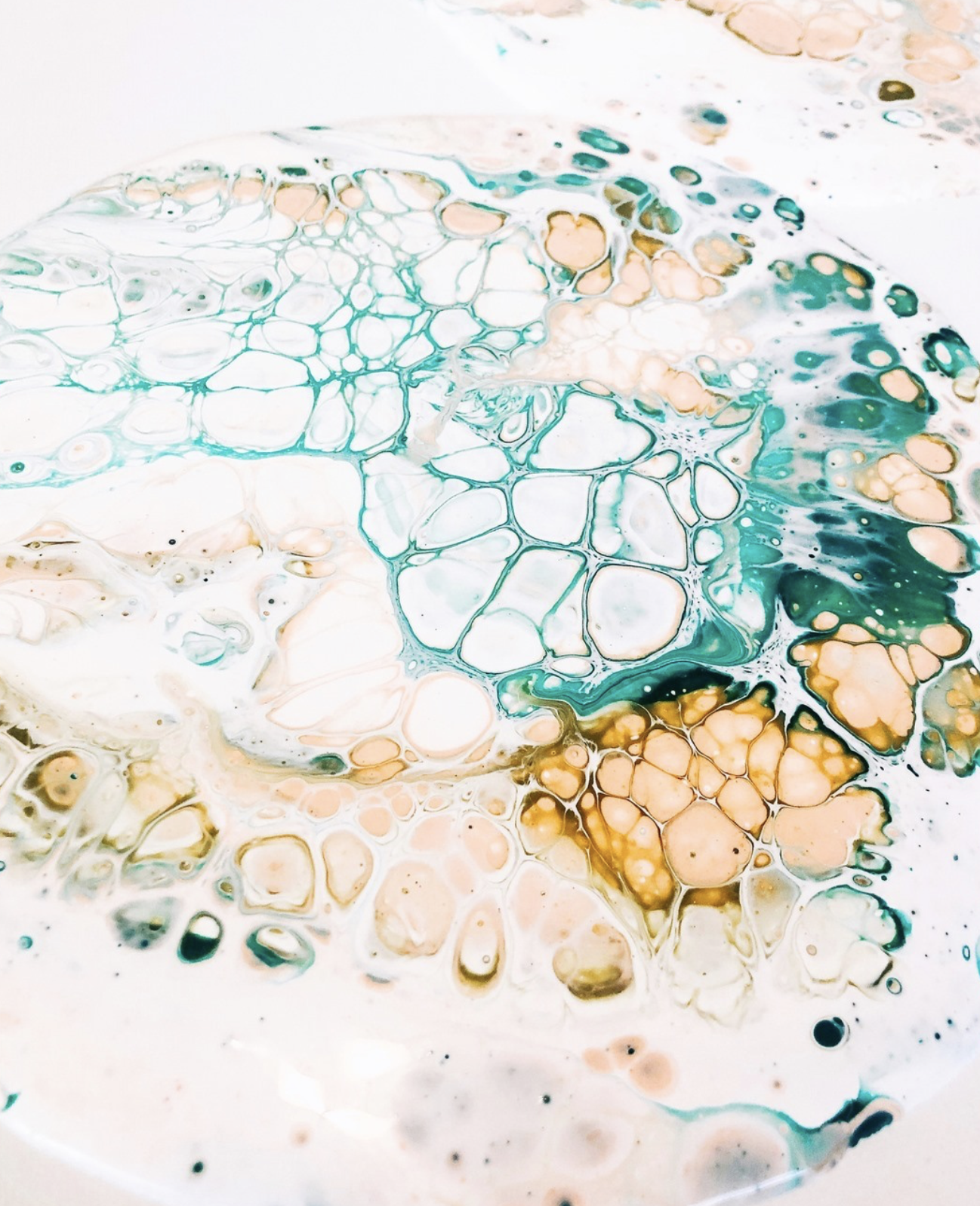 Screenshot 2026-04-20 at 5.22.03 PM.png