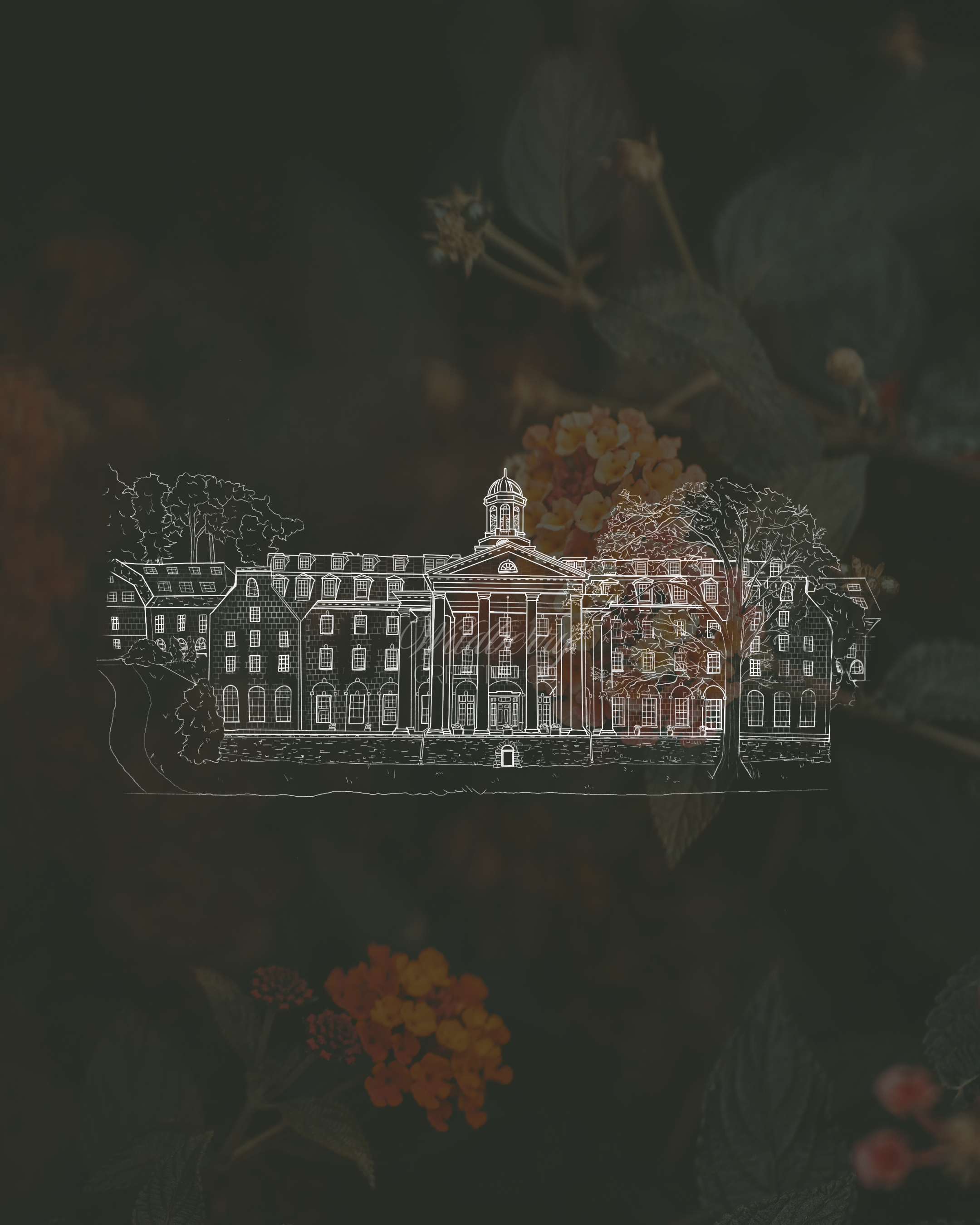 11.png
