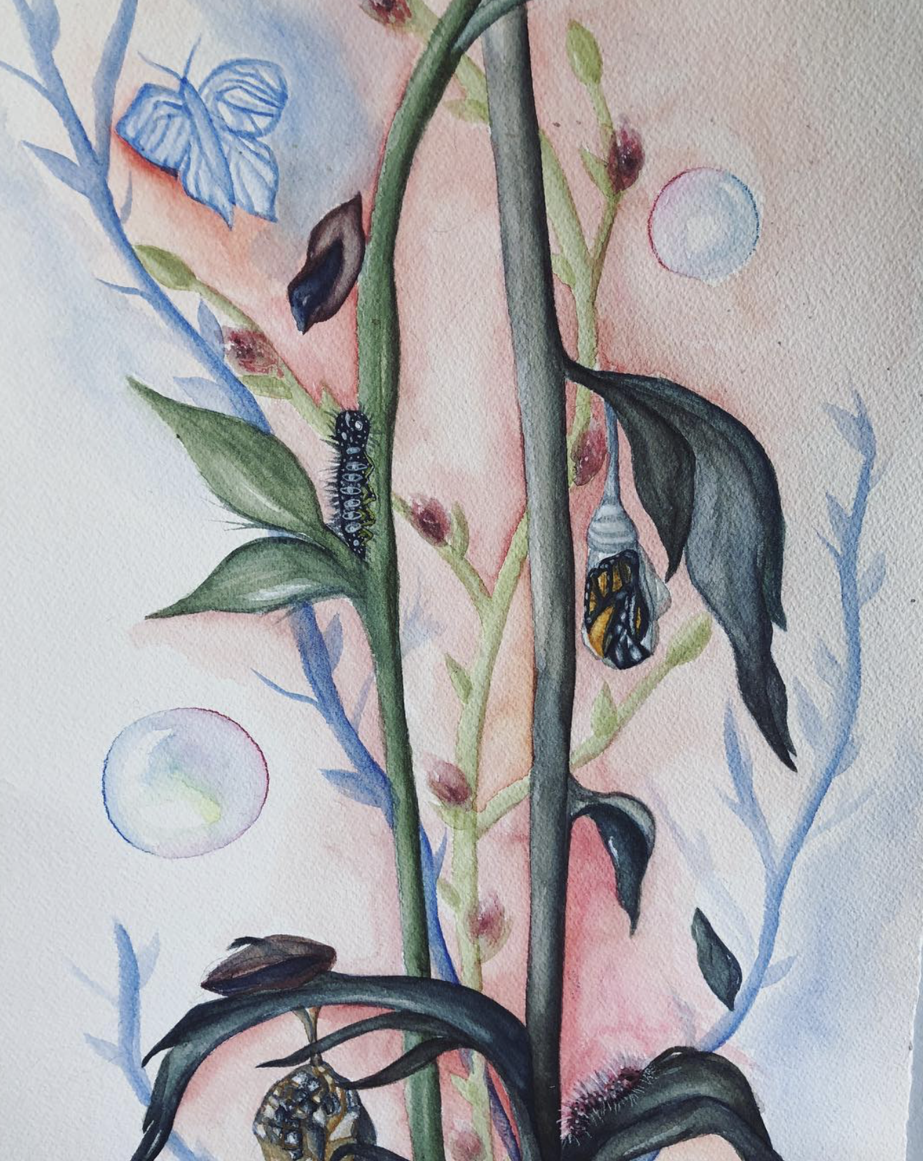 Screenshot 2026-04-20 at 5.23.39 PM.png