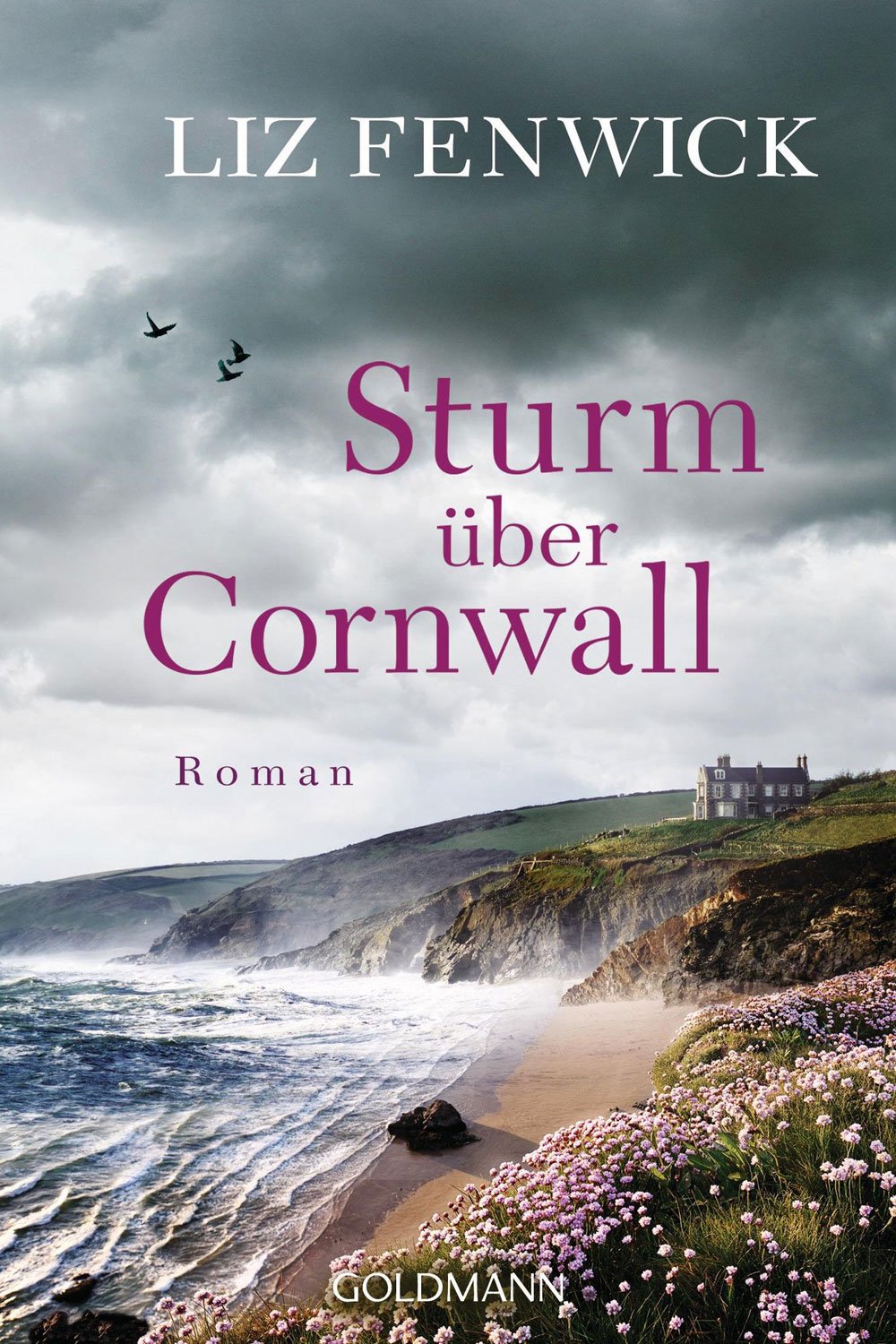 sturm-ueber-cornwall-liz-fenwick.jpg