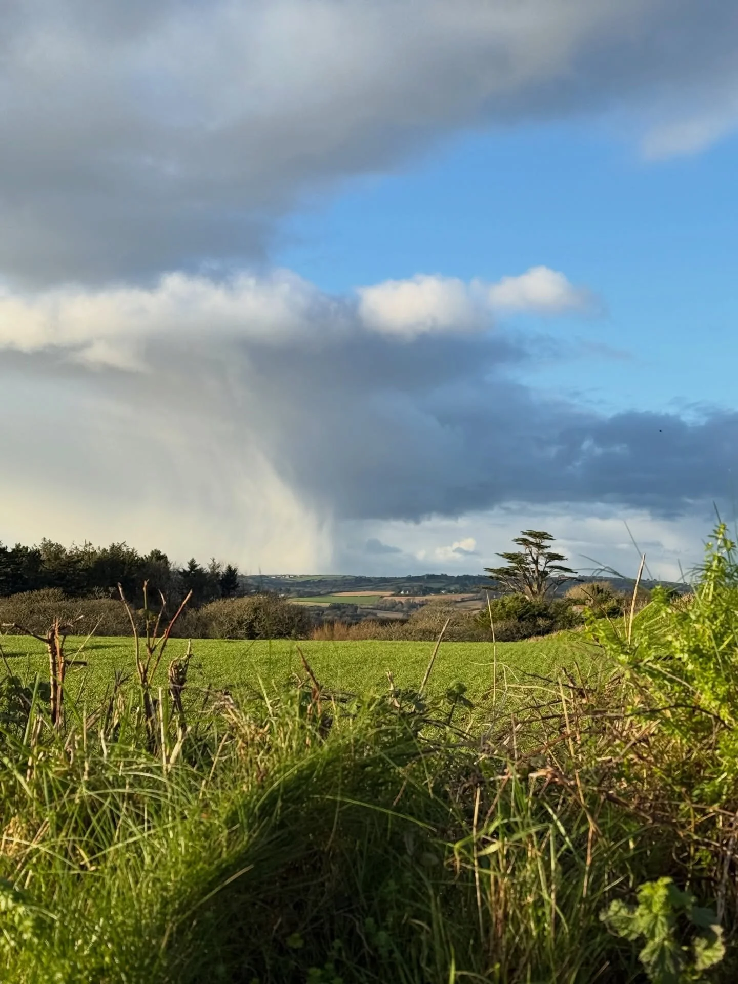 Moving into January slowly with #plotwalks and pauses to find the joy. I hope 2026 is treating you well so far. #awriterslife #cornwall