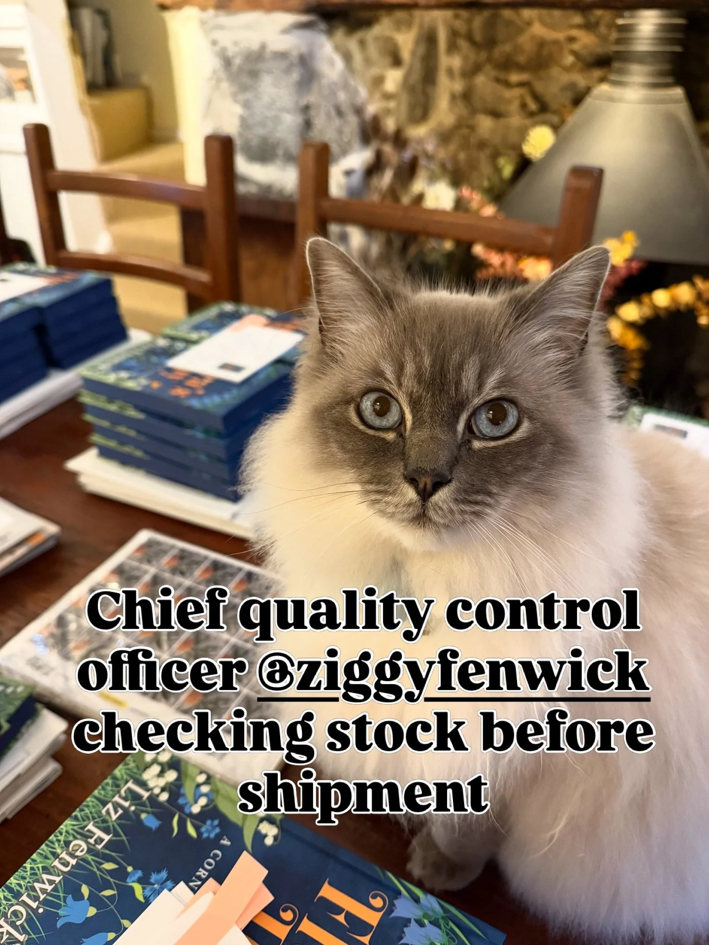 It&rsquo;s publication week for Flora&rsquo;s Day! Today was all about deliveries. All website pre-orders are posted and @falmouthbookseller has their copies!! @ziggyfenwick is thrilled with empty boxes appearing and Mr Liz aka @chrisdgfenwick can no