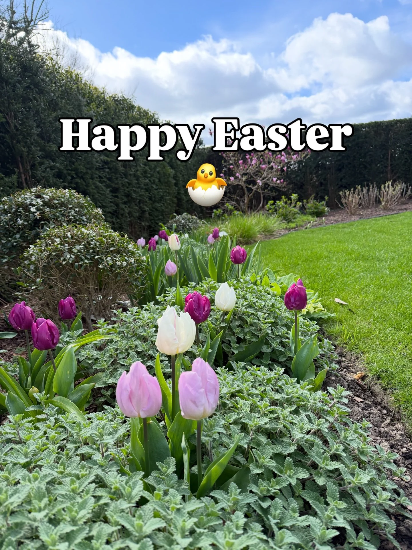 Hoping you have a wonderful Easter. #awriterslife