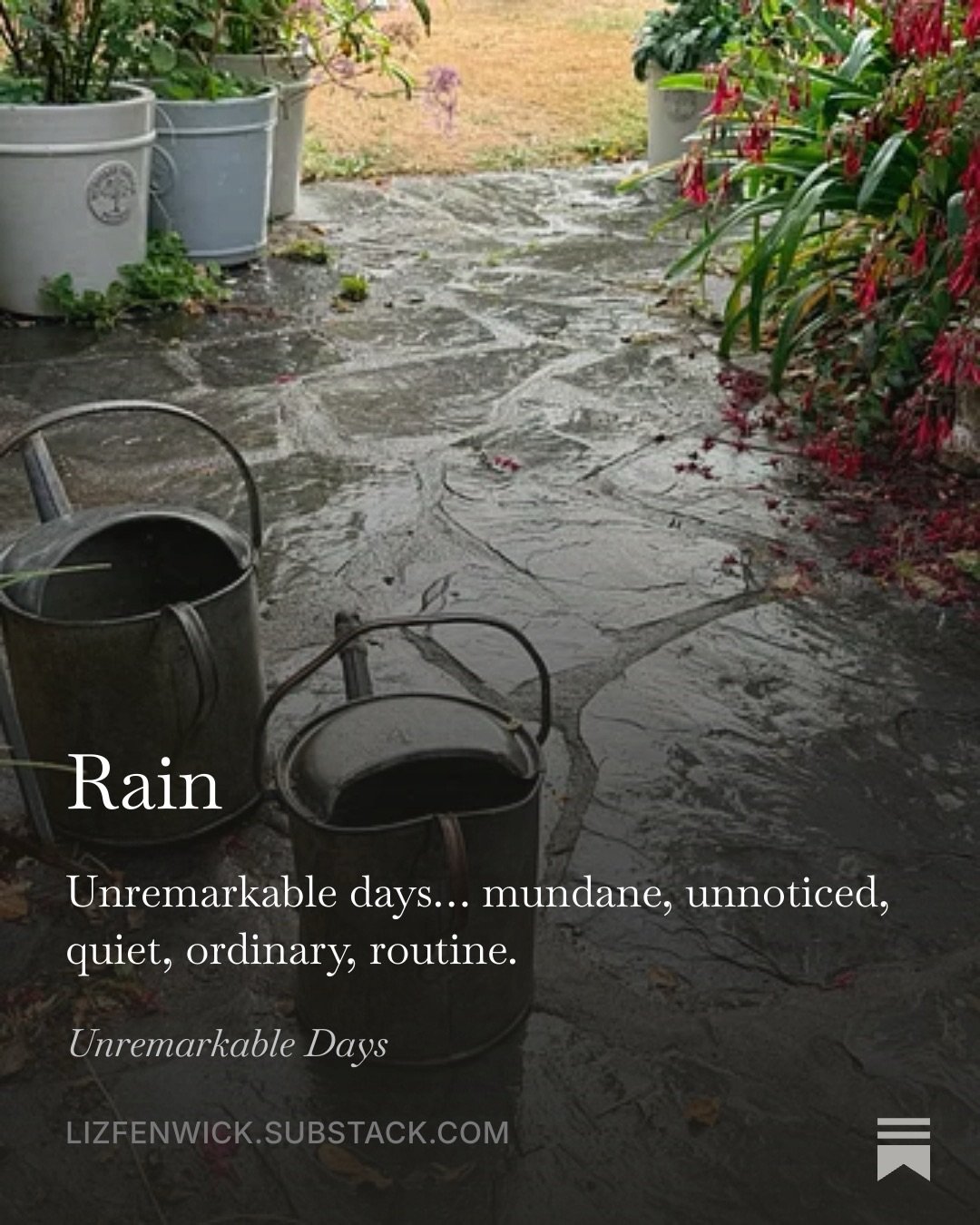 We&rsquo;ve had rain here in Cornwall and the garden rejoices. It prompted my Substack post this week and this post of my favourite things!! #awriterslife The post is linked directly in my stories and there&rsquo;s a general link to Unremarkable Days