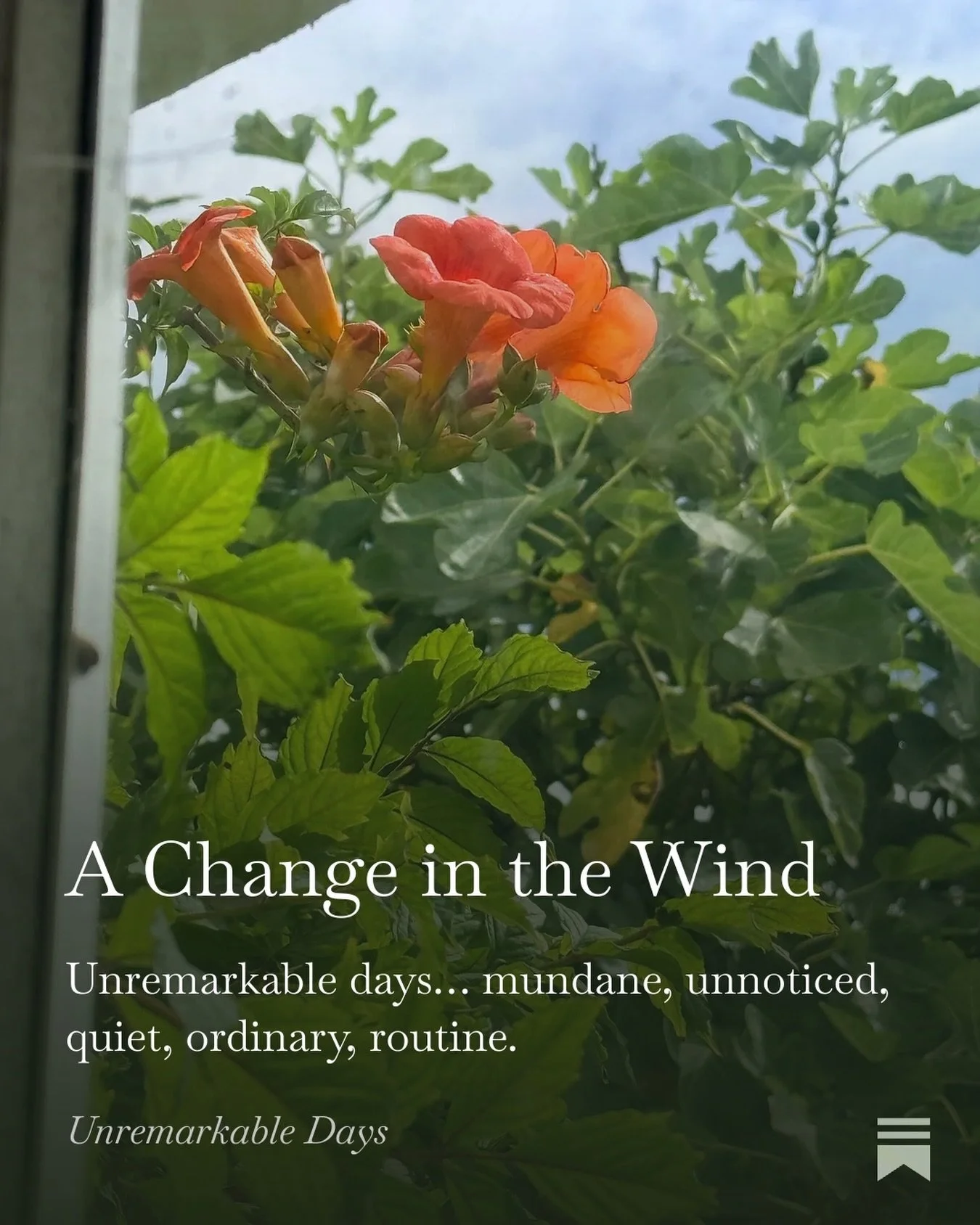 Another week and another Substack post. We are still blissfully surrounded by family. The weather has taken a turn to the cooler side as the east wind has stirred up my garden and the waters of the Helford. #awriterslife The post is linked in my stor