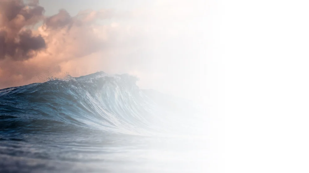 Building Capacity to accelerate Scope 3 — Leading Real Change