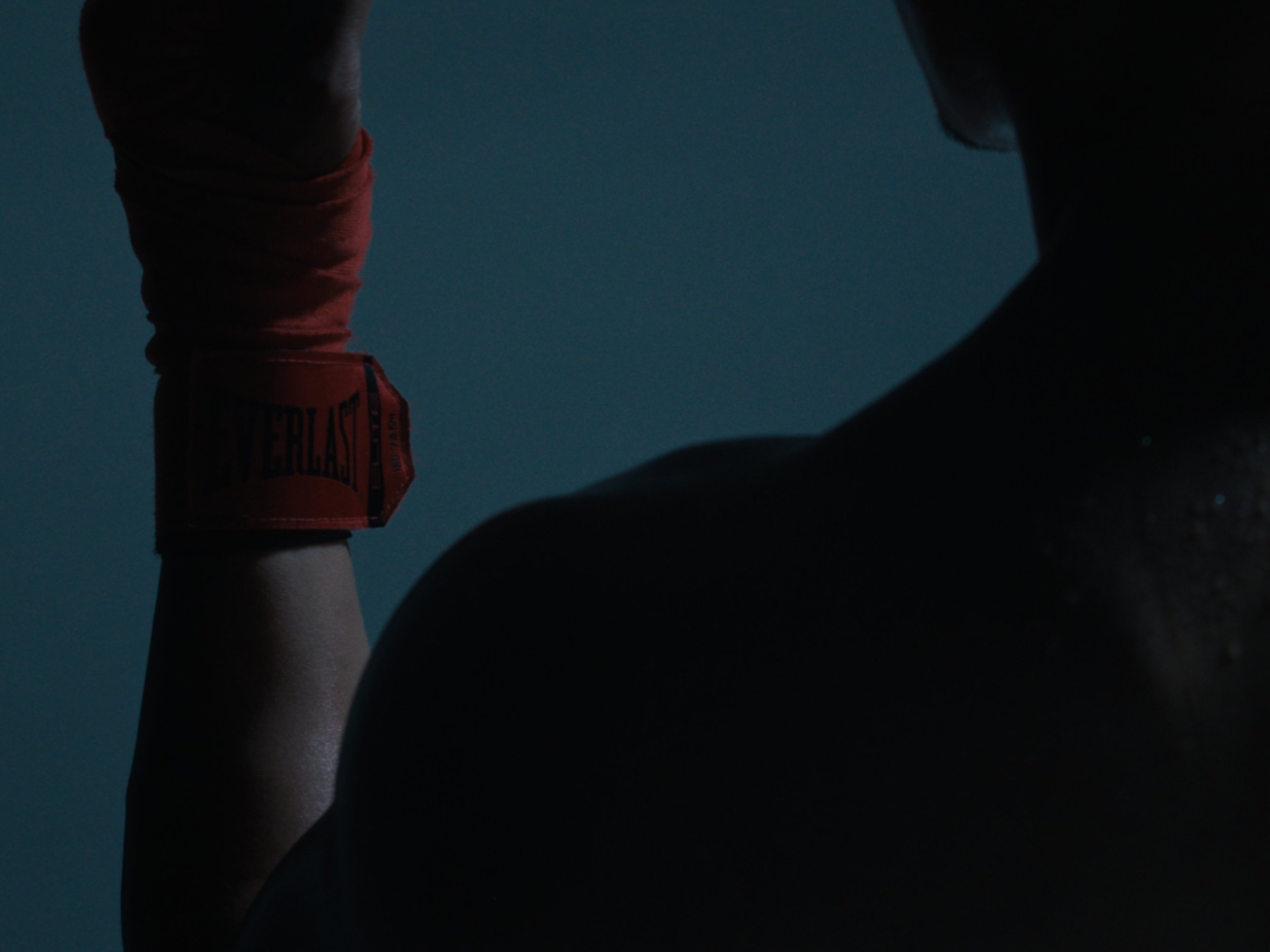 EVERLAST COMMECIAL STILL7.jpg