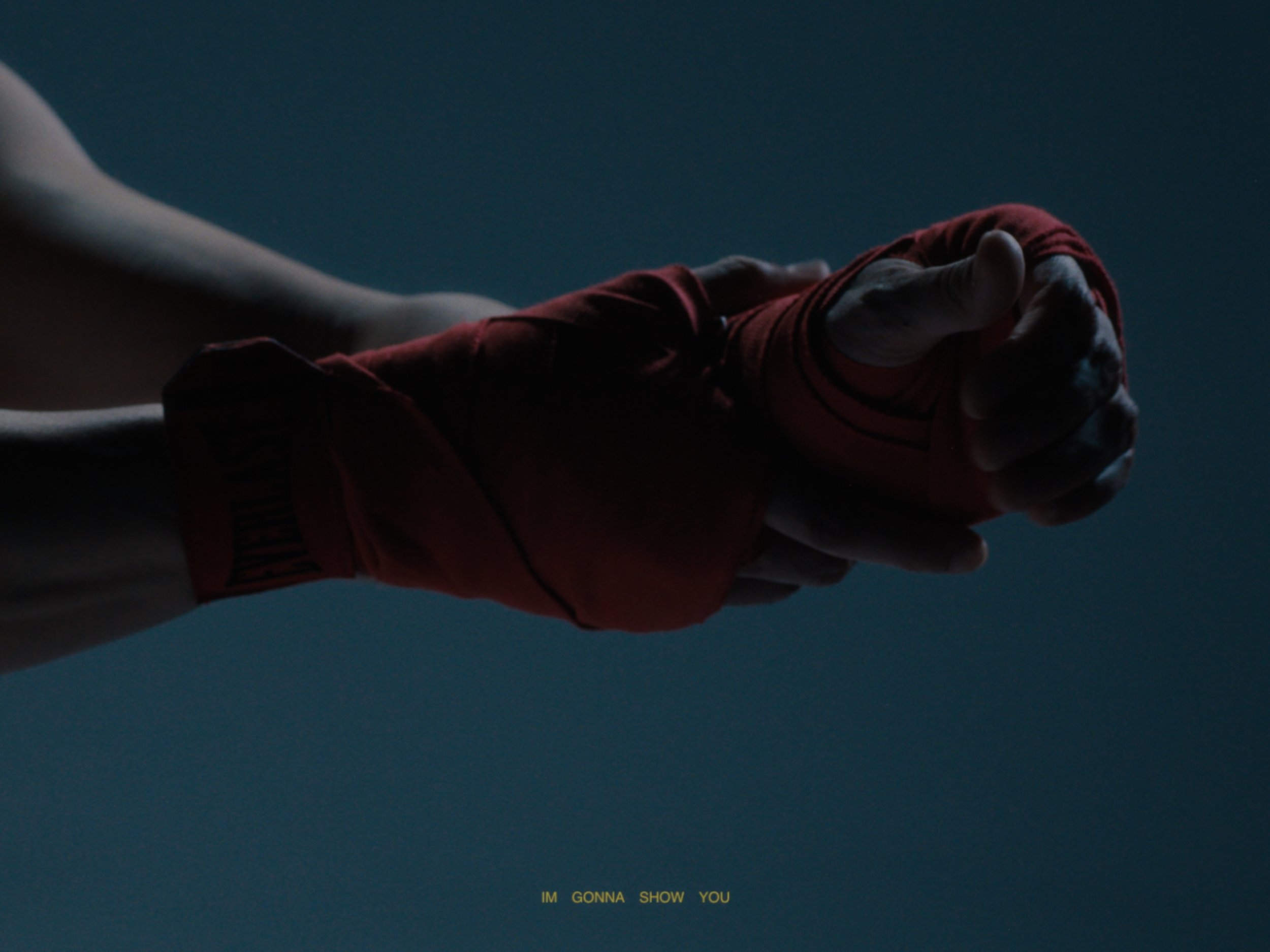 EVERLAST COMMECIAL STILL2.jpg