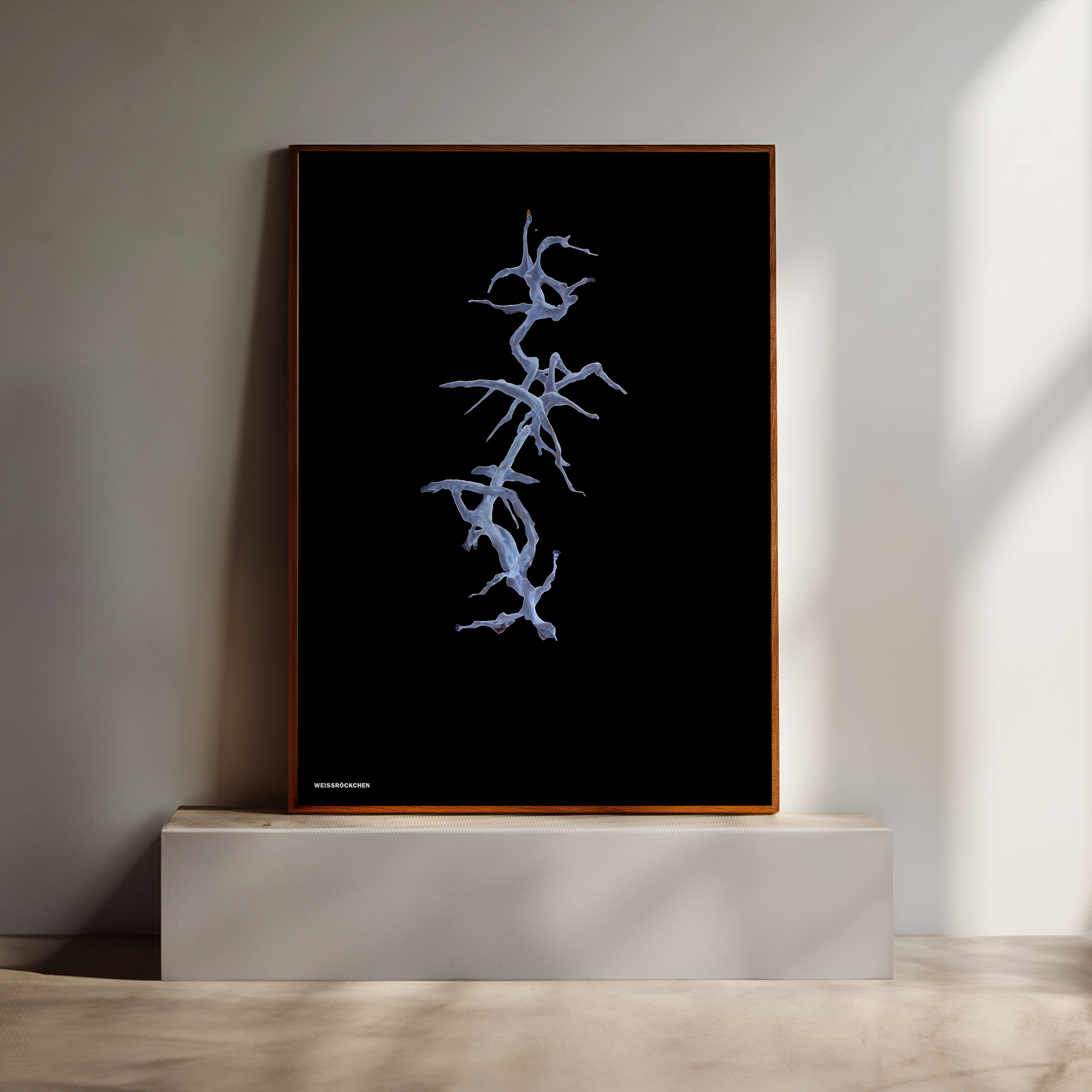 Weissröckchen MOCKUP 1.png