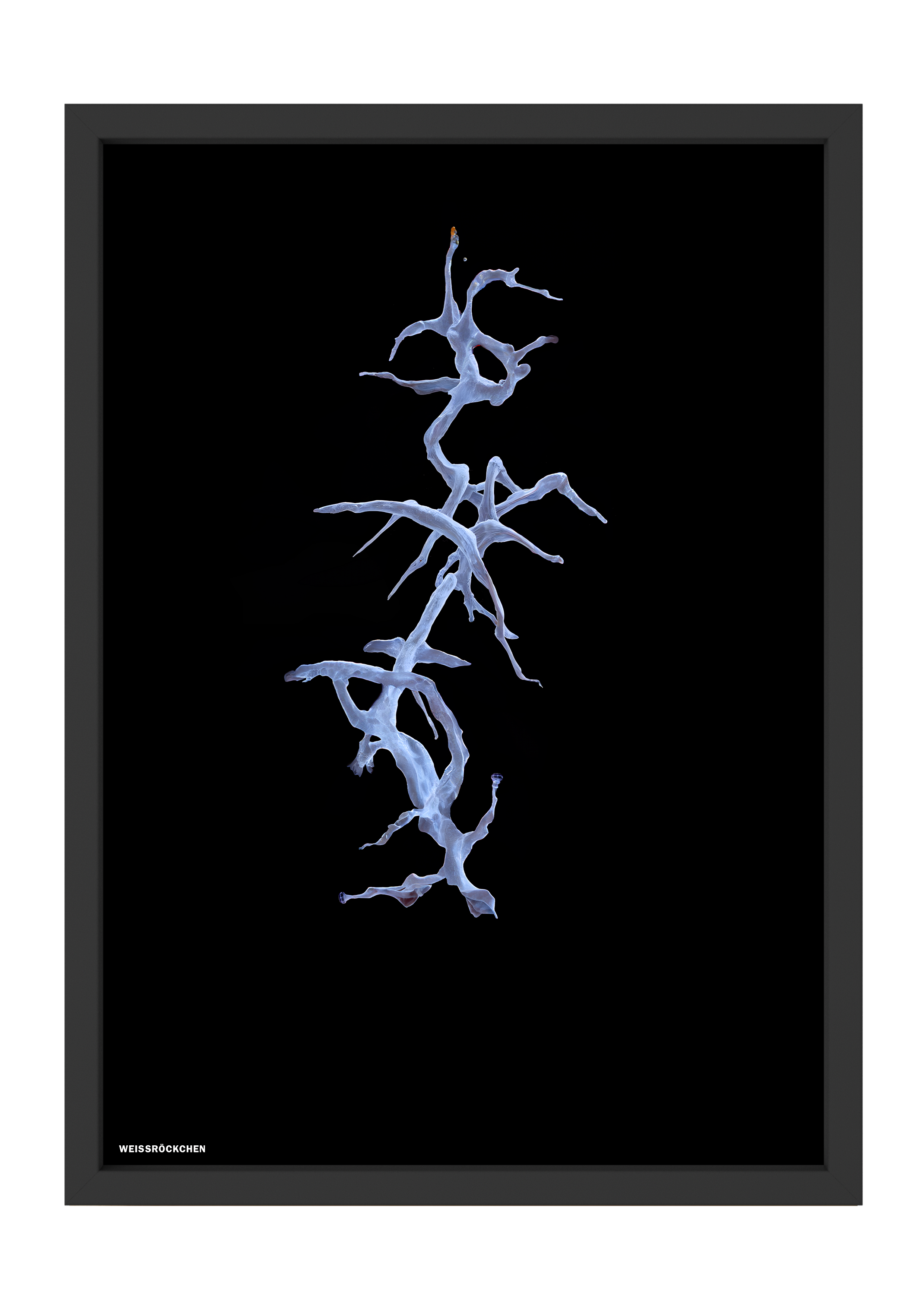 Weissröckchen--black.png