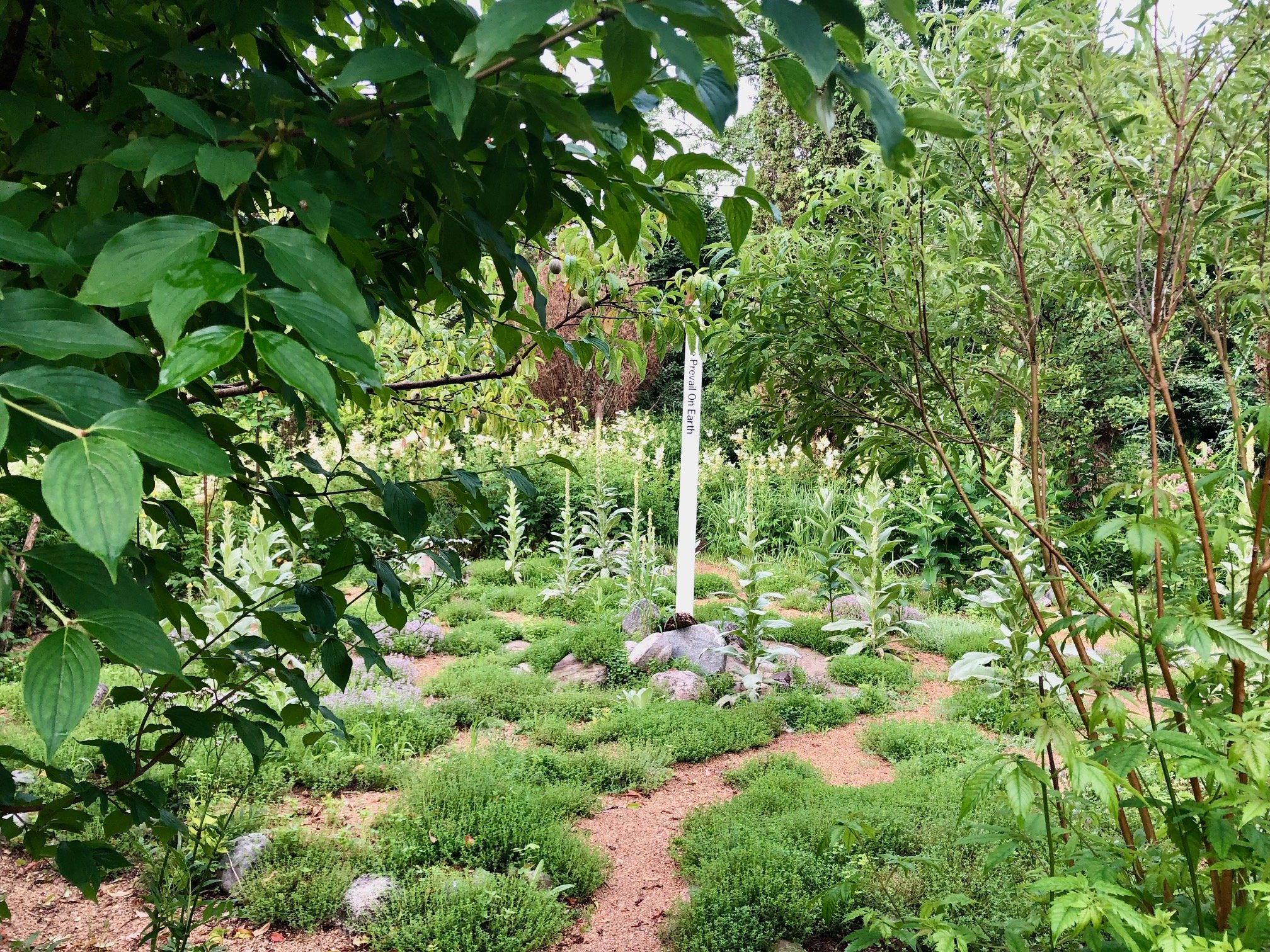 Permaculture Tours - Friday Evenings