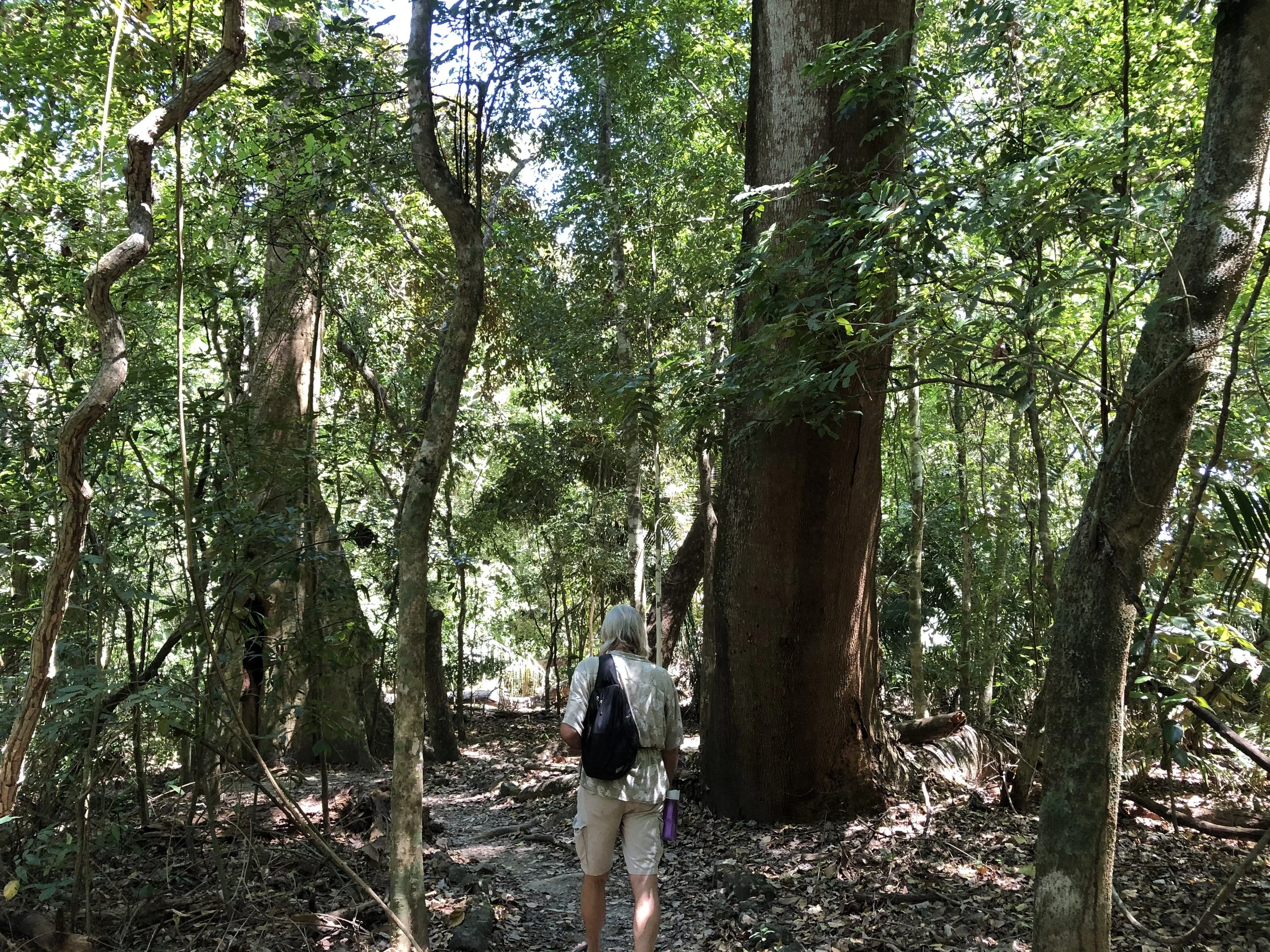 A Walk Through the History of The Living Centre