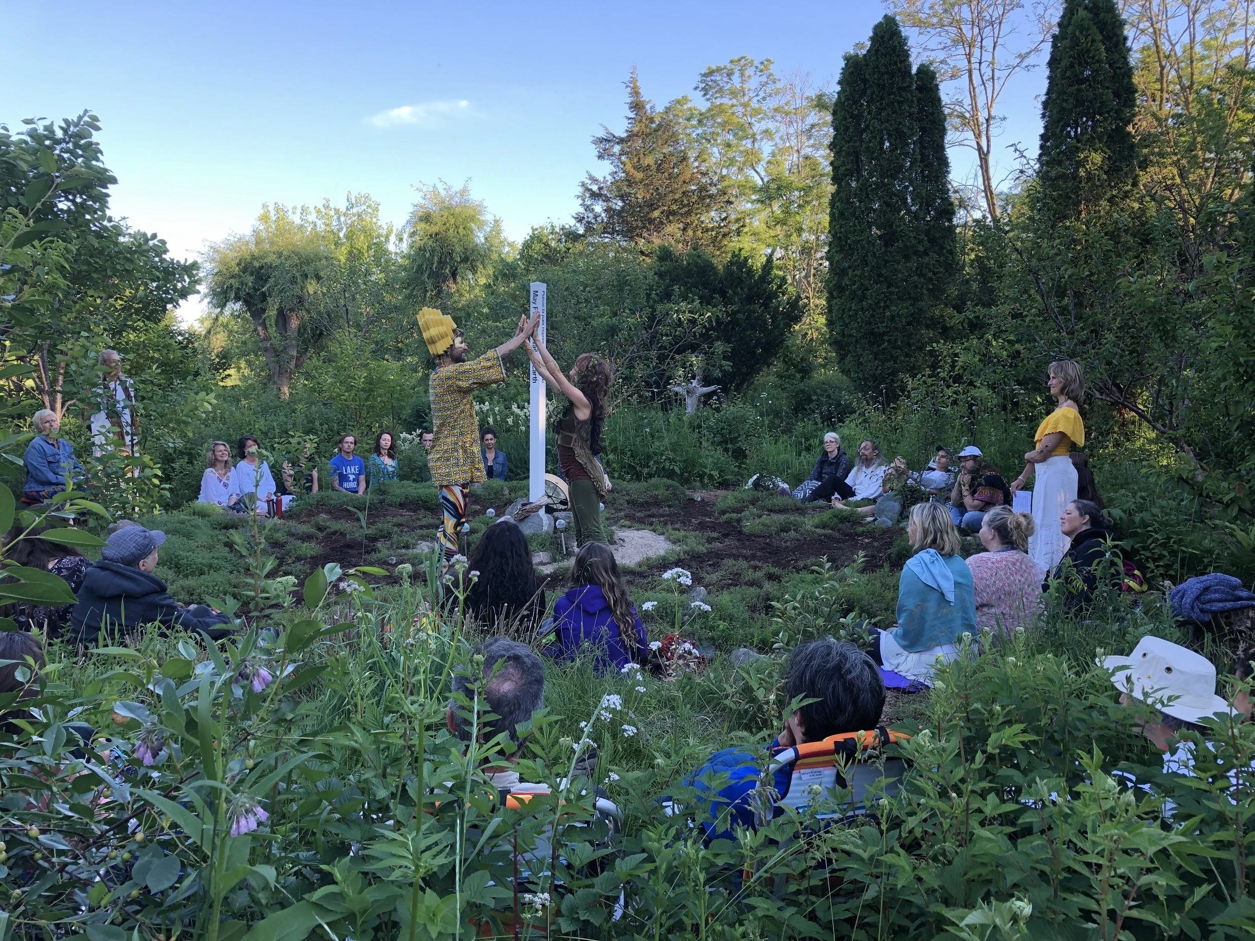 Shifting the Paradigm:         Pattern Language of Plant Medicine