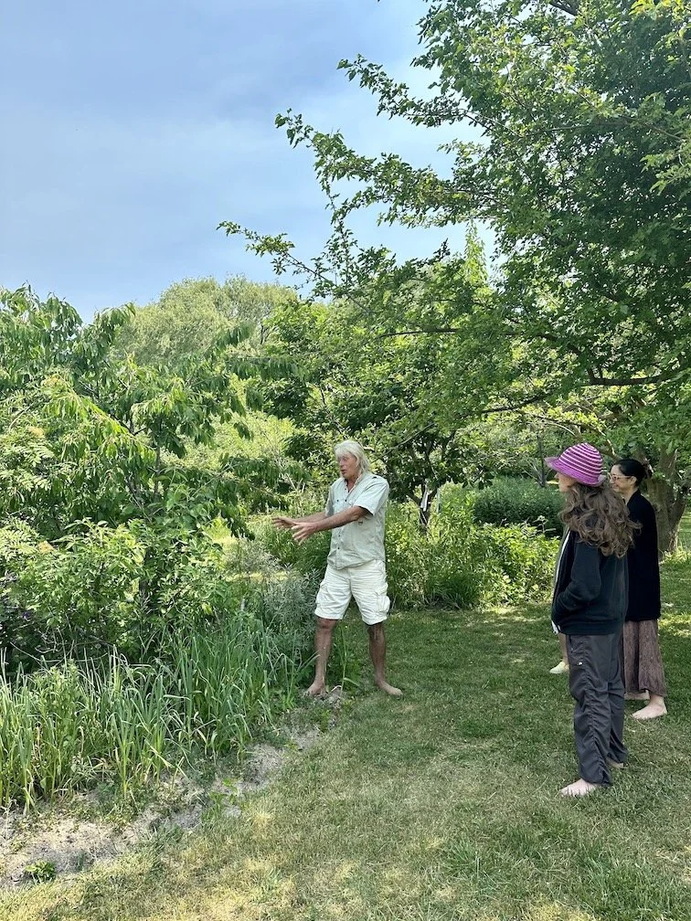 Local Wild Living Design: Weaving Regeneration into the Fabric of Everyday Life