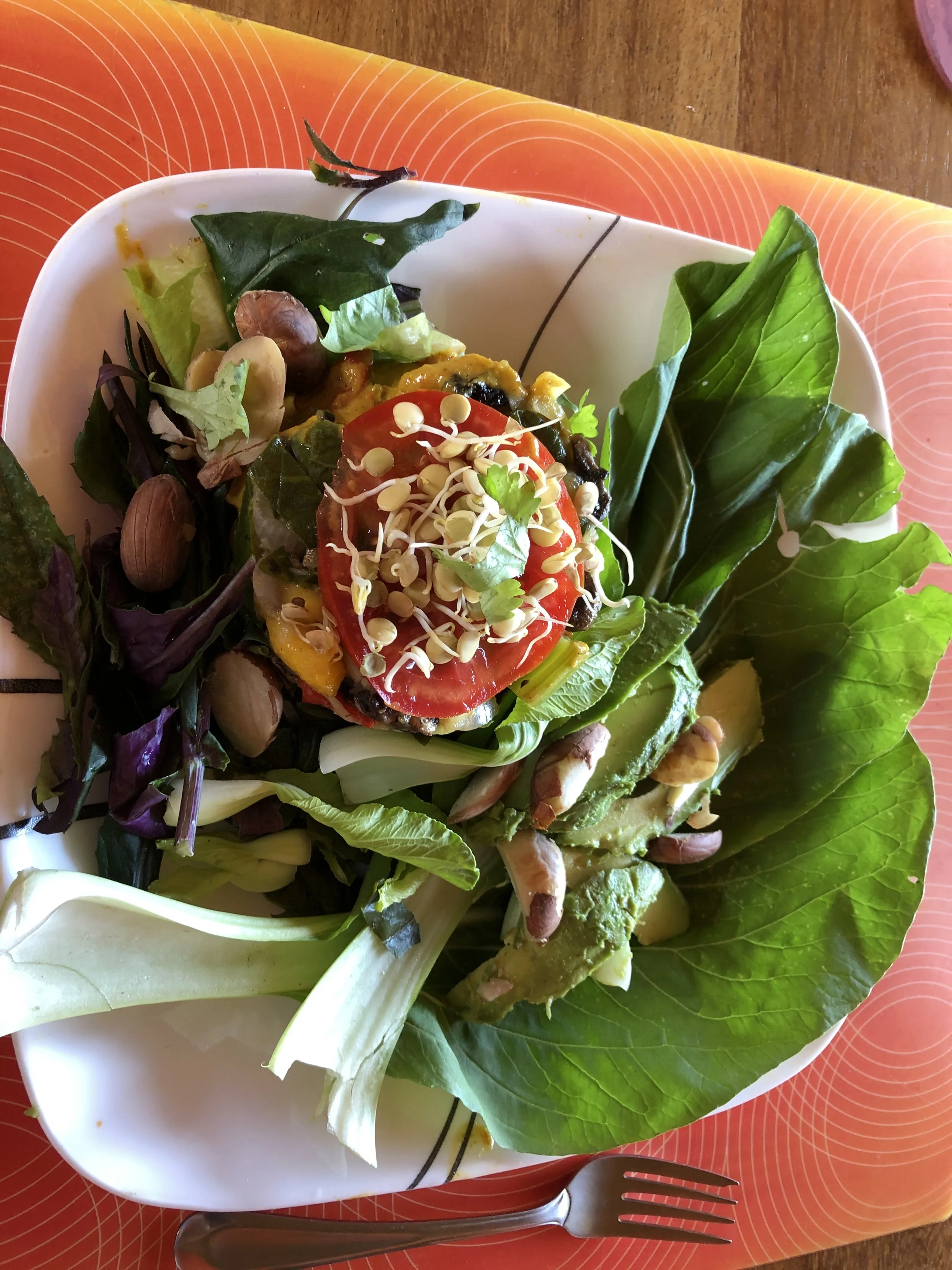 Peace through a Sattvic Diet