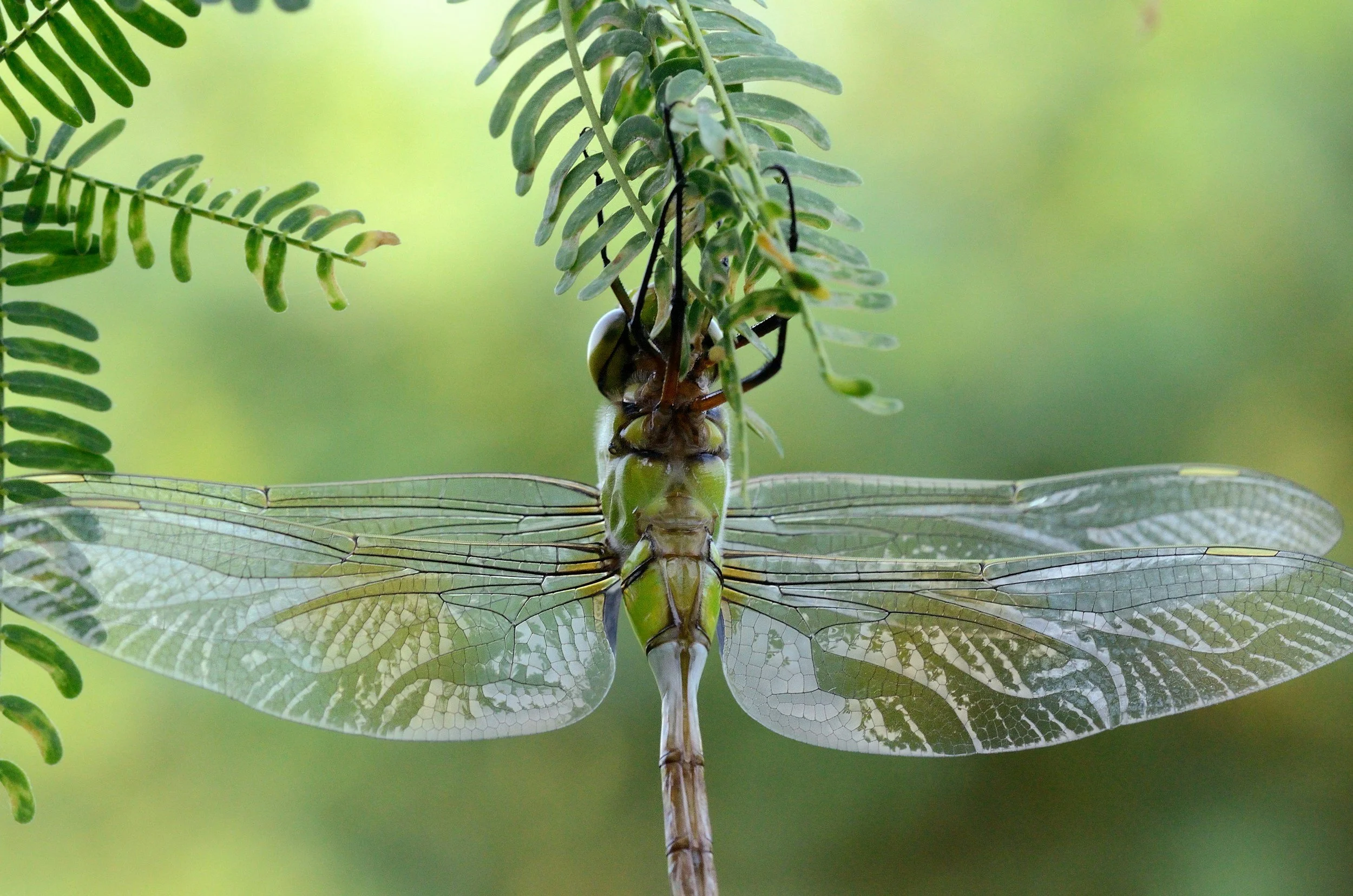 Two Core Practices to Begin Living from Your Inner Current